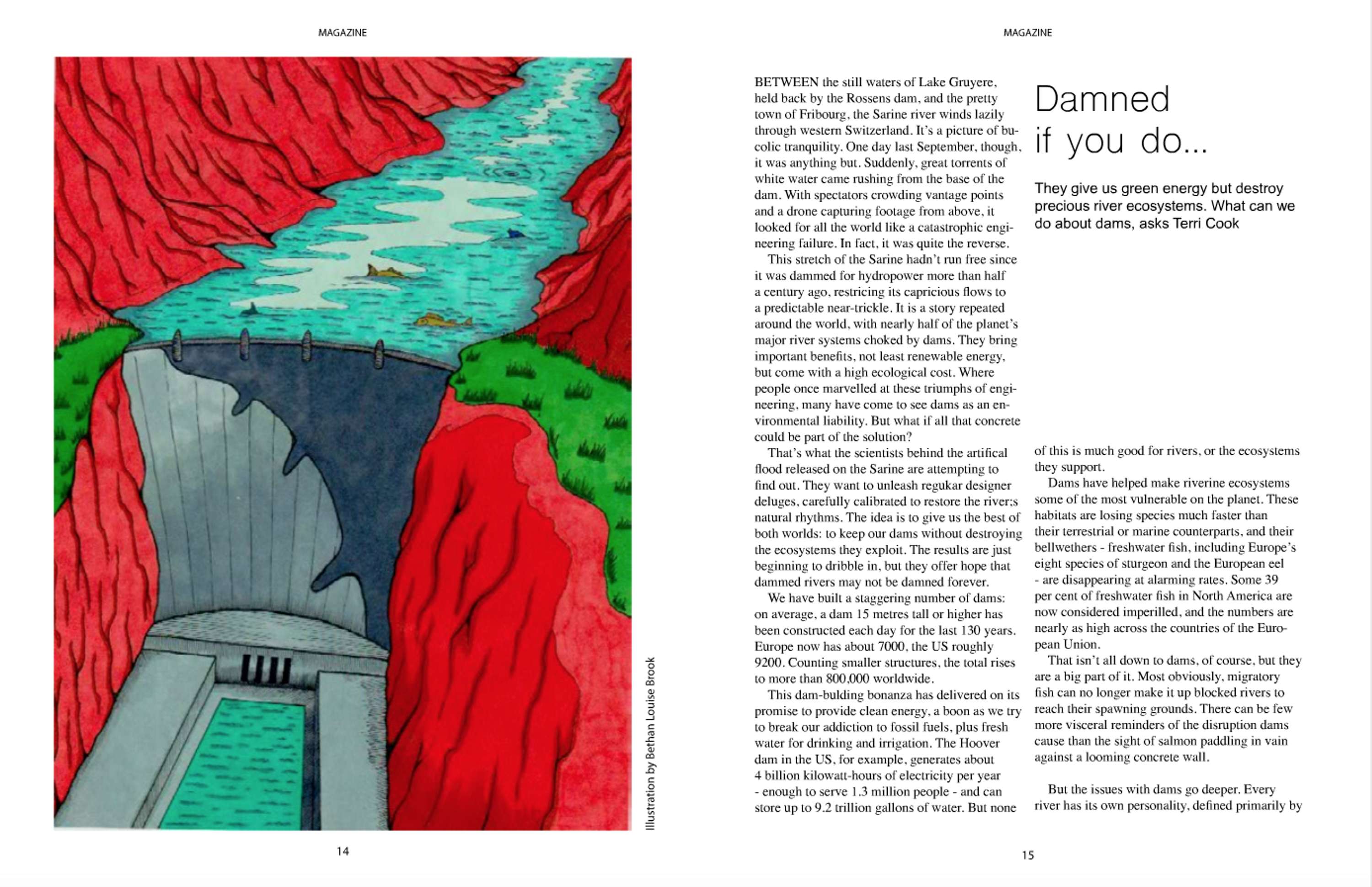 Editorial Project by Bethan Brook