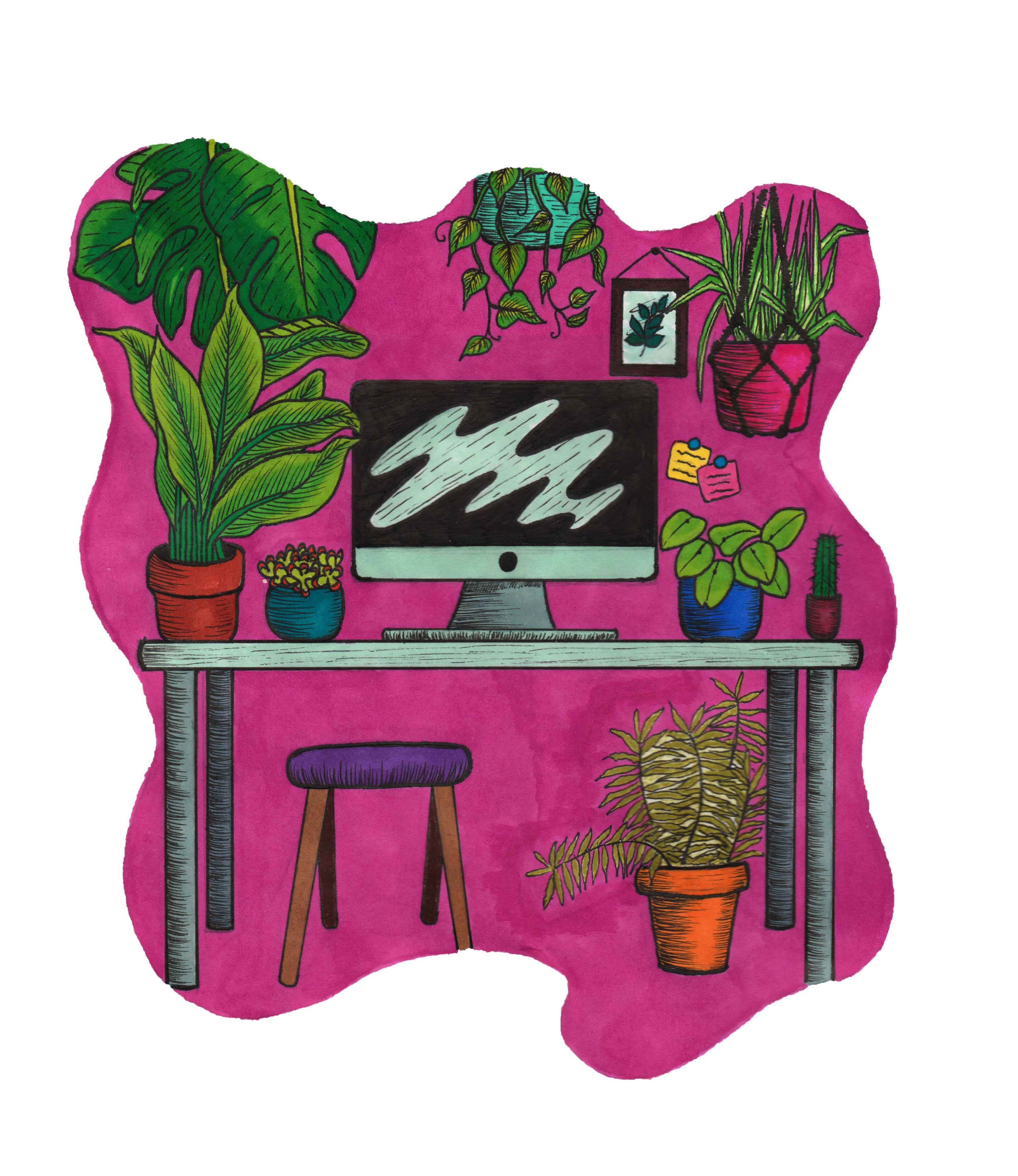 Editorial Project by Bethan Brook