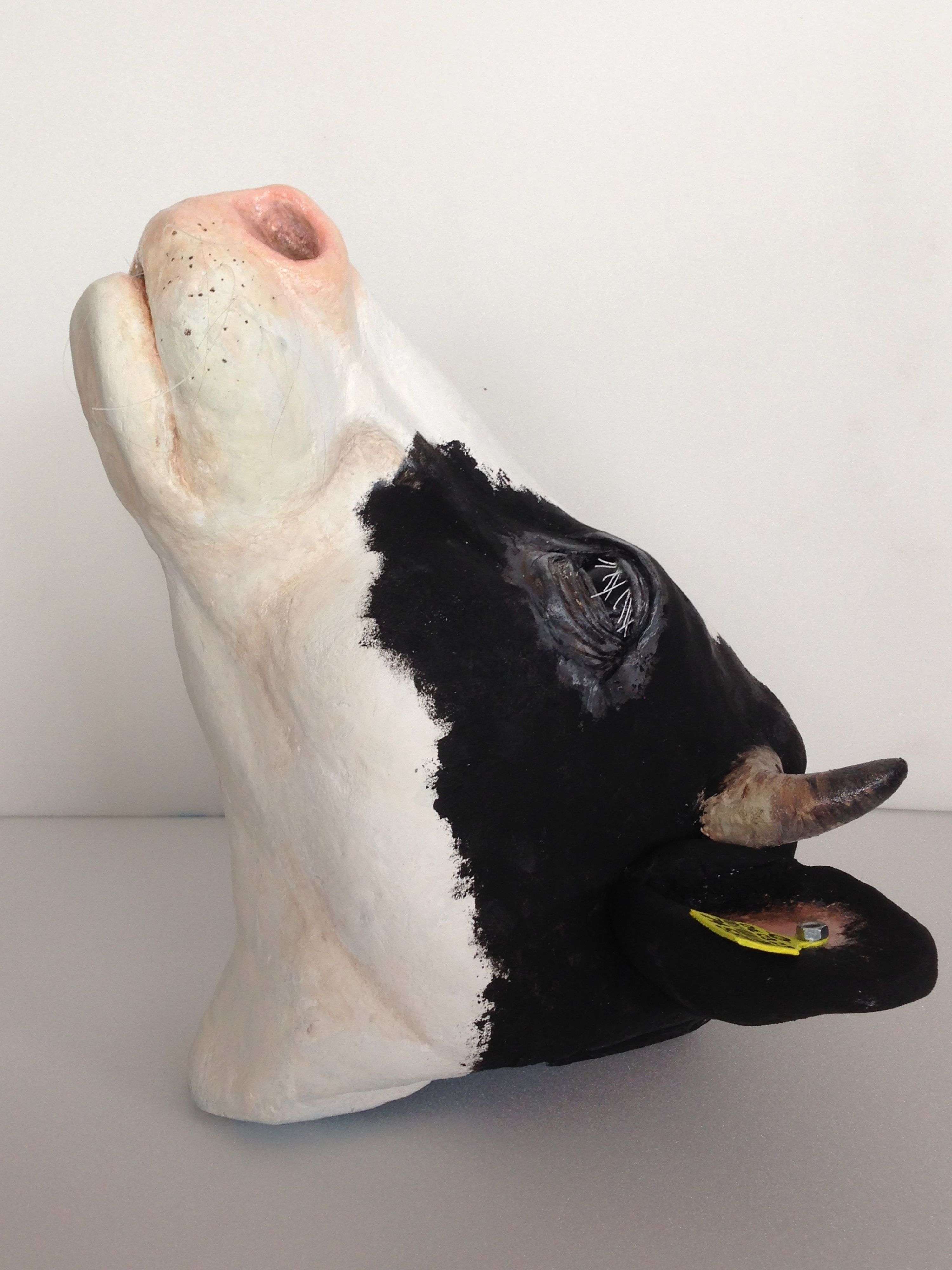 Puppets by Charlina Lucas