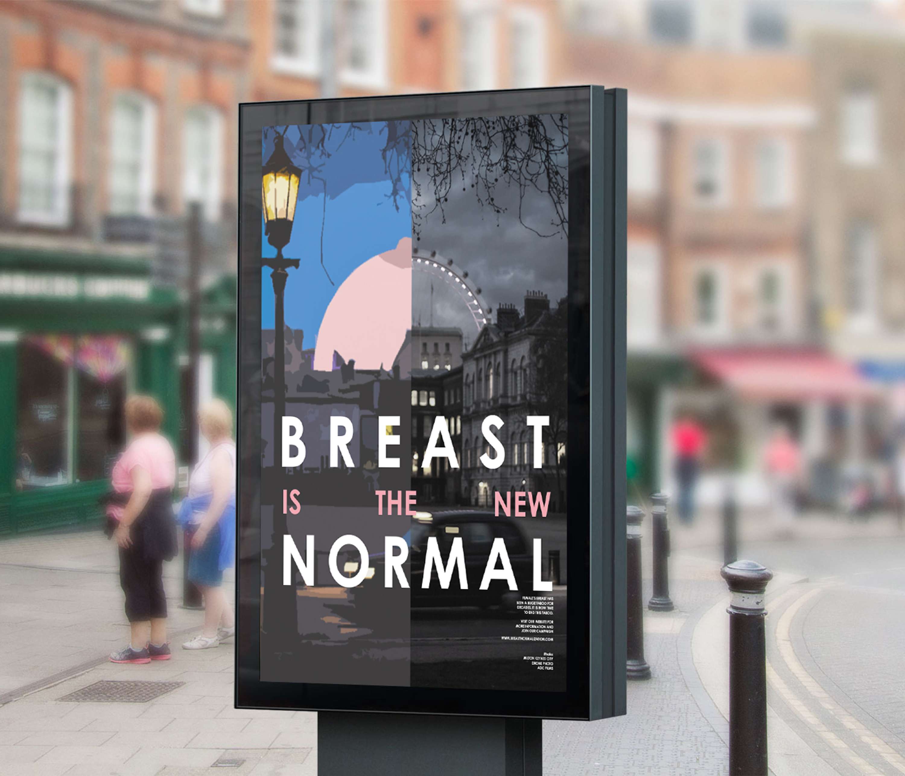 FMP - Breast Normalization by Parnaz Homayouni
