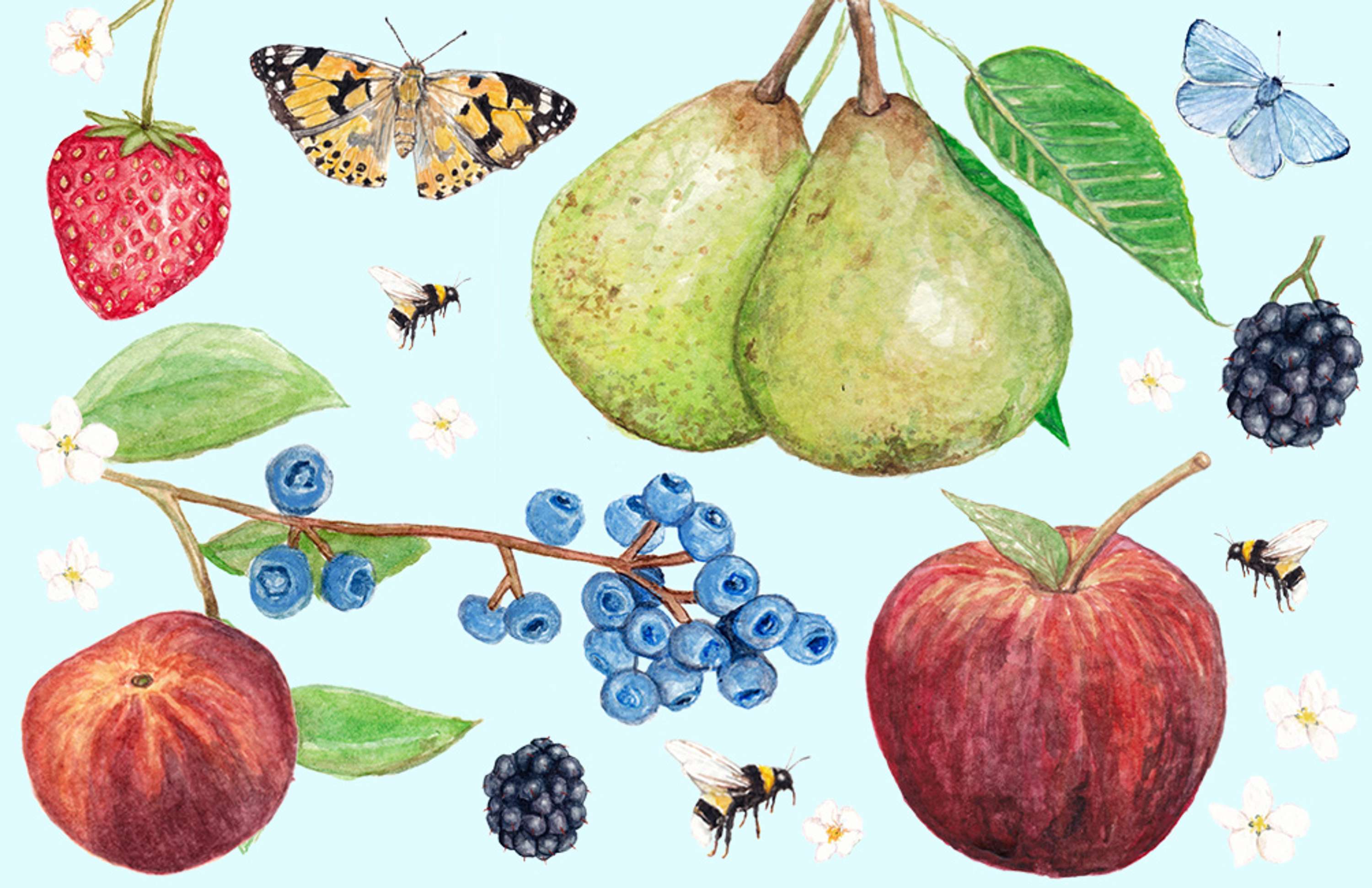 Garden Patterns by Abigail Harris