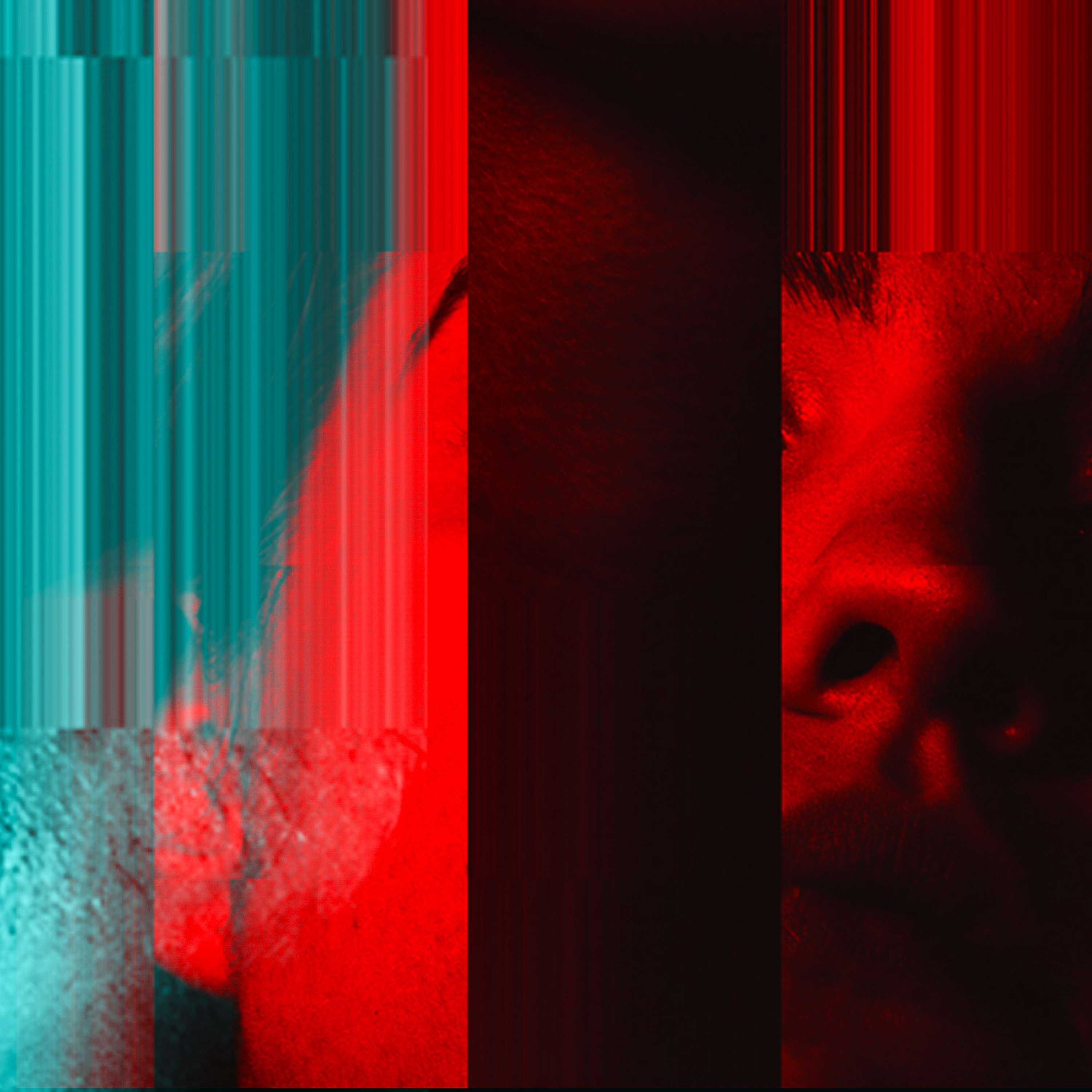Distortion by Callum Cowan