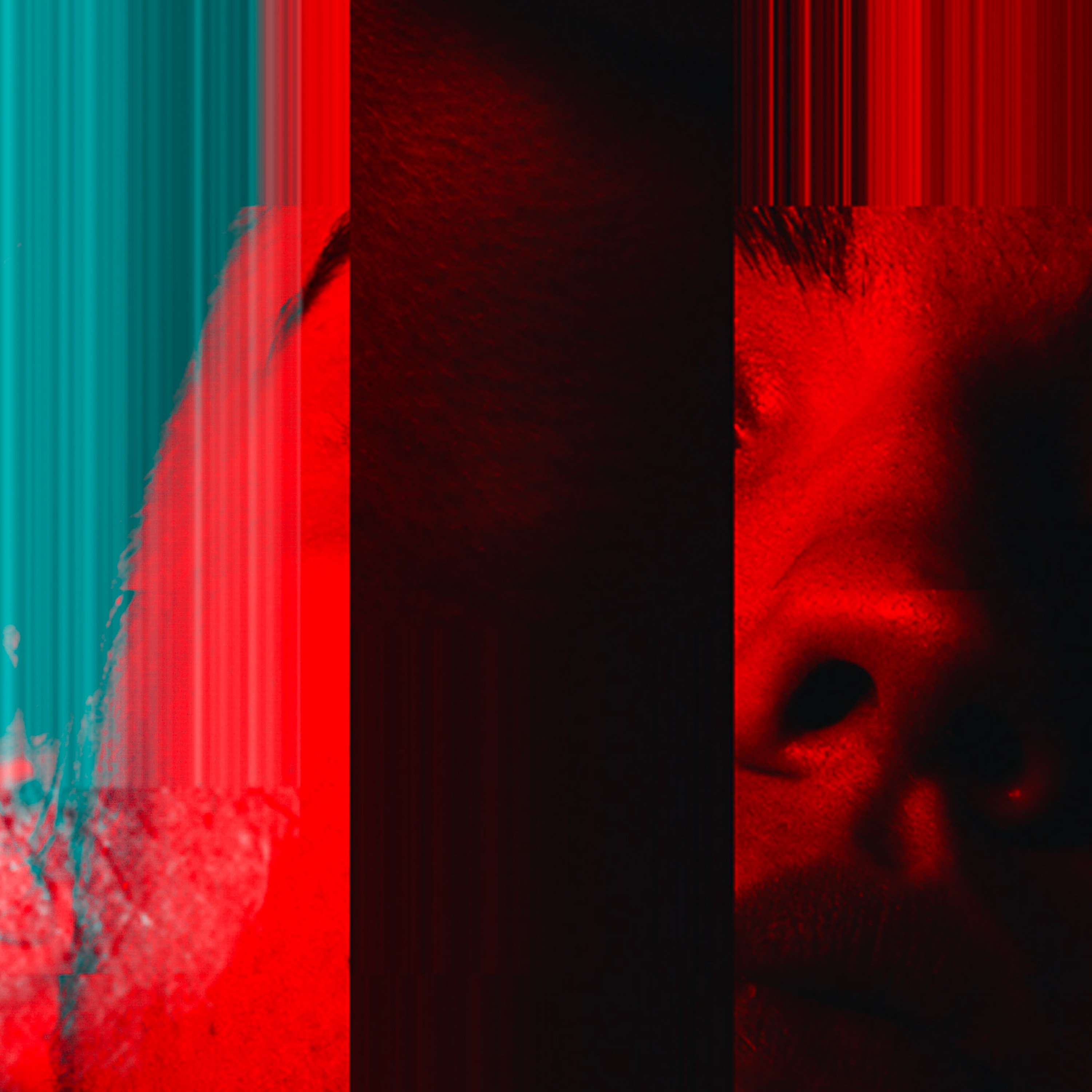 Distortion by Callum Cowan