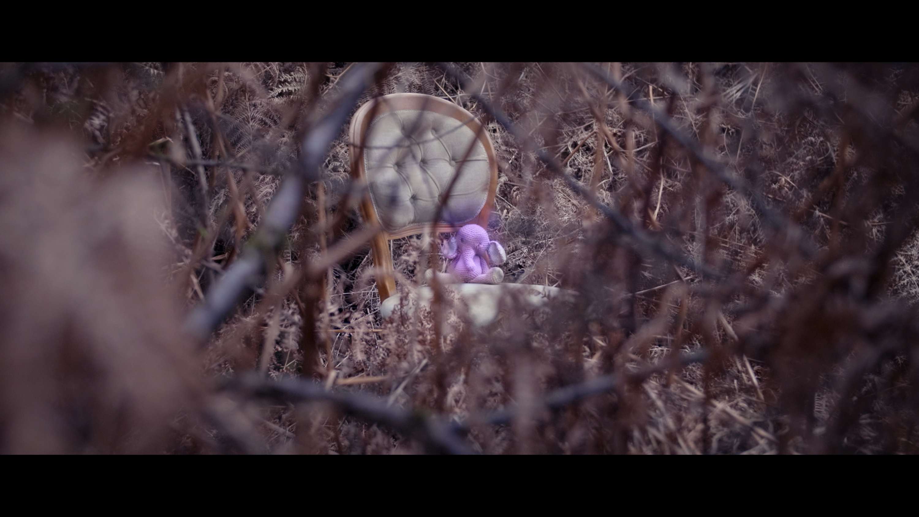 Elephant - Music Video by Billy Abbott