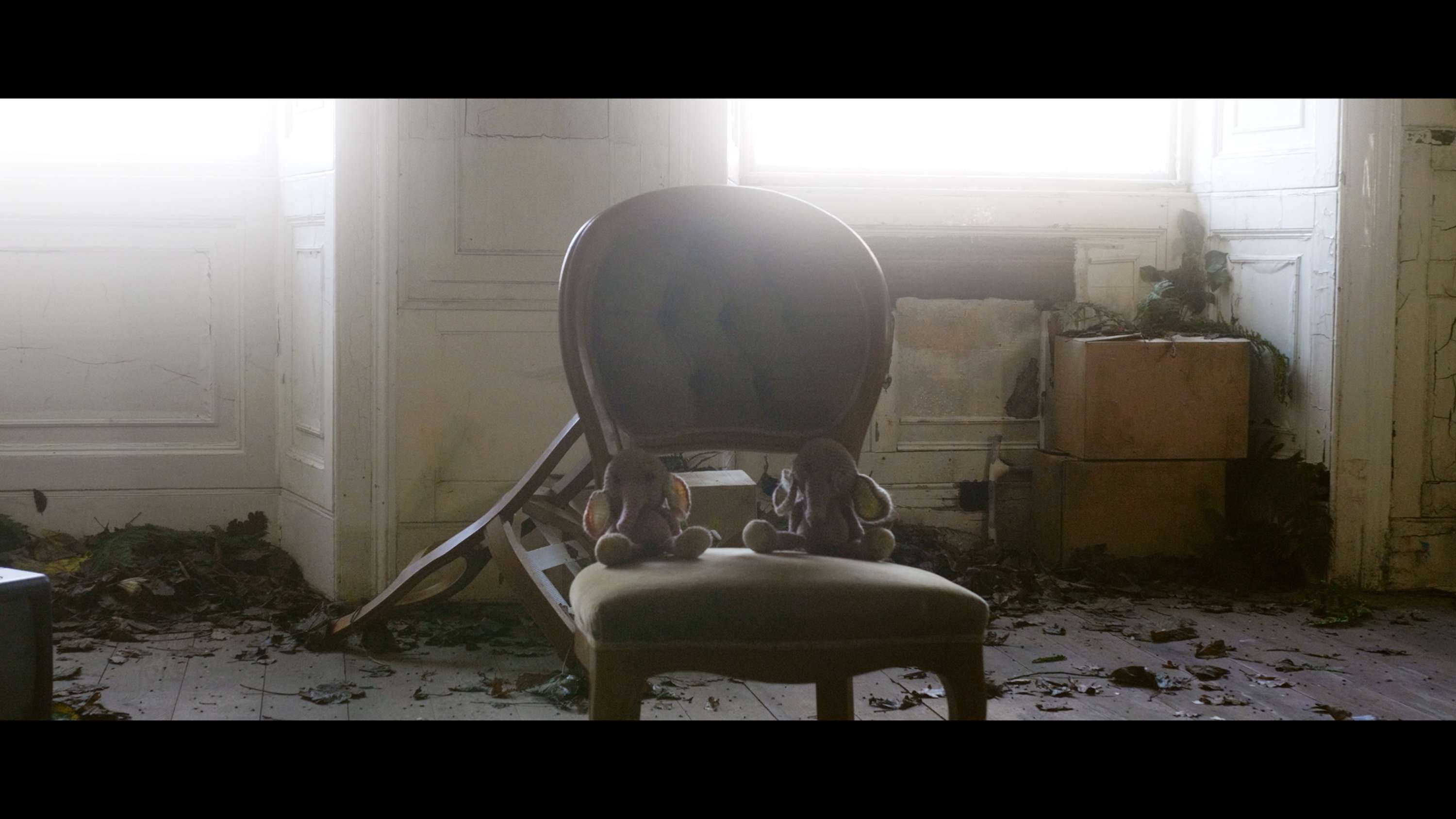 Elephant - Music Video by Billy Abbott