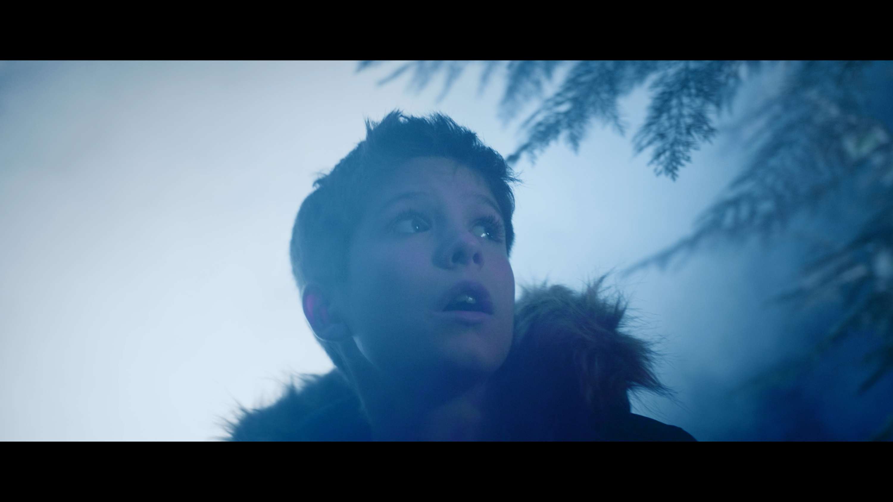Elephant - Music Video by Billy Abbott