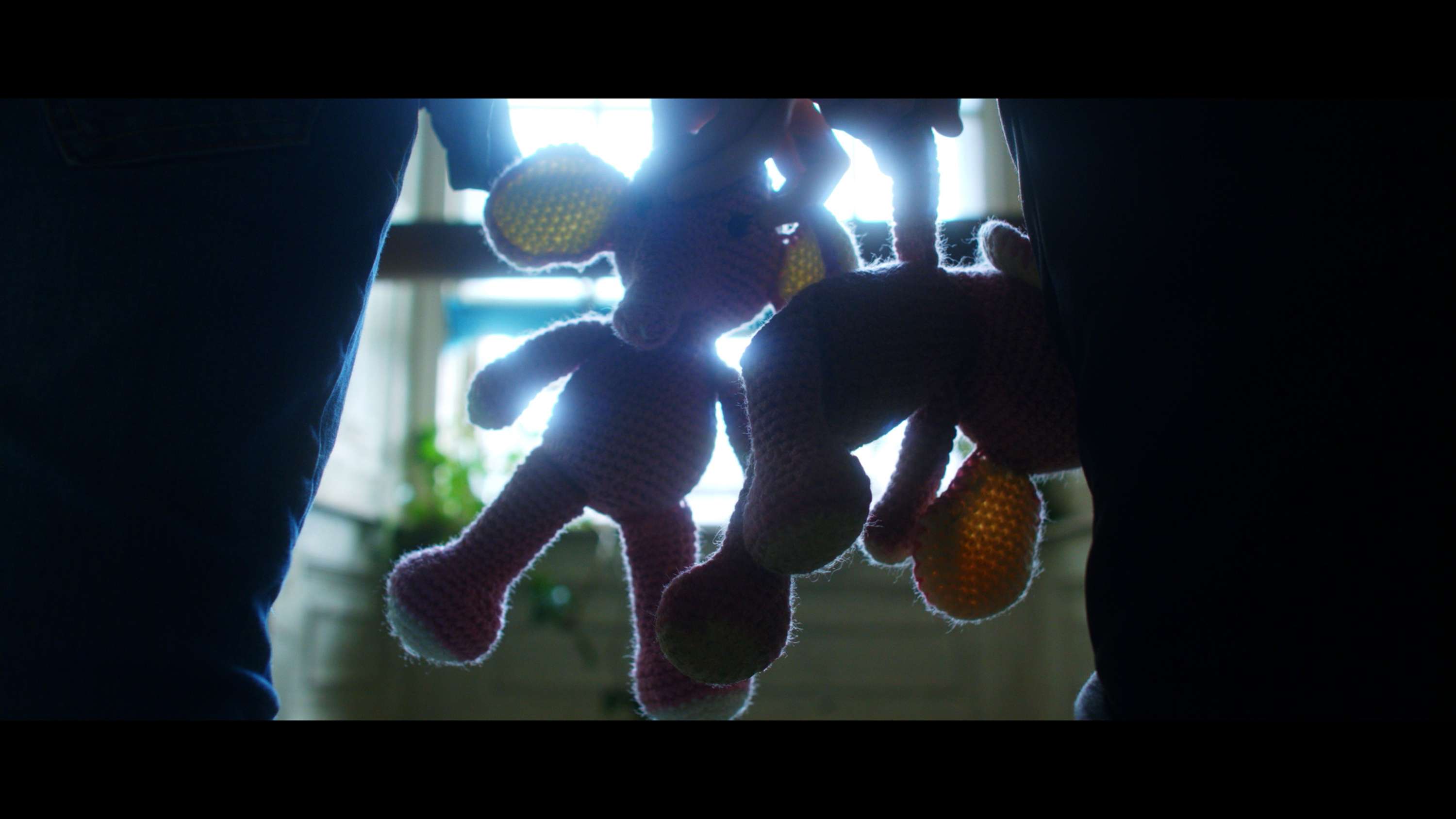Elephant - Music Video by Billy Abbott