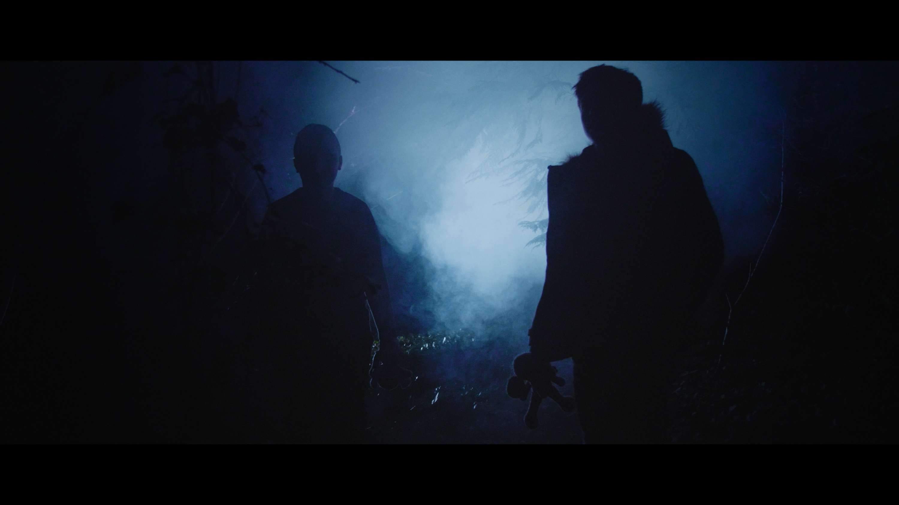 Elephant - Music Video by Billy Abbott
