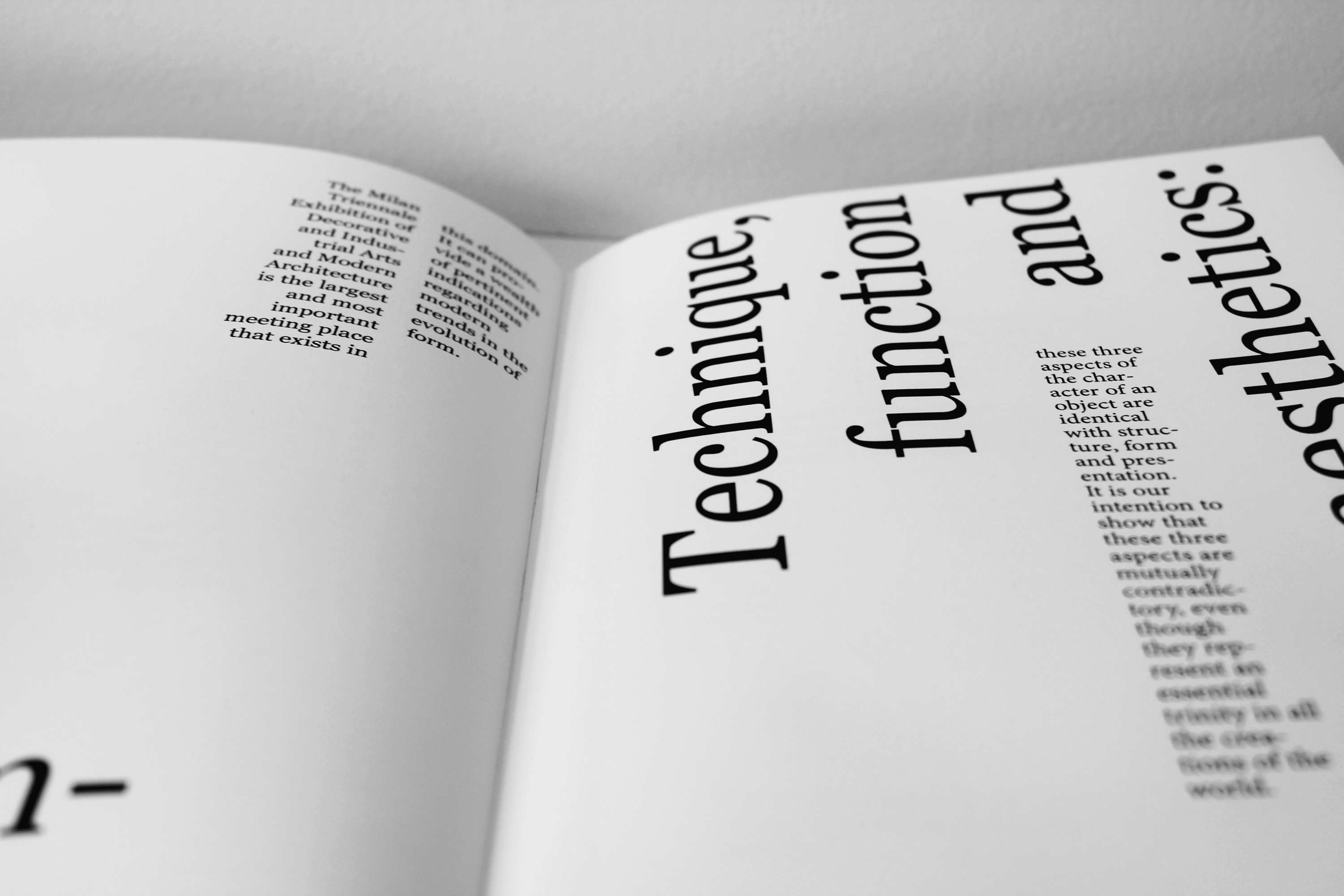 Against Functionalism by Rosie Hobbs