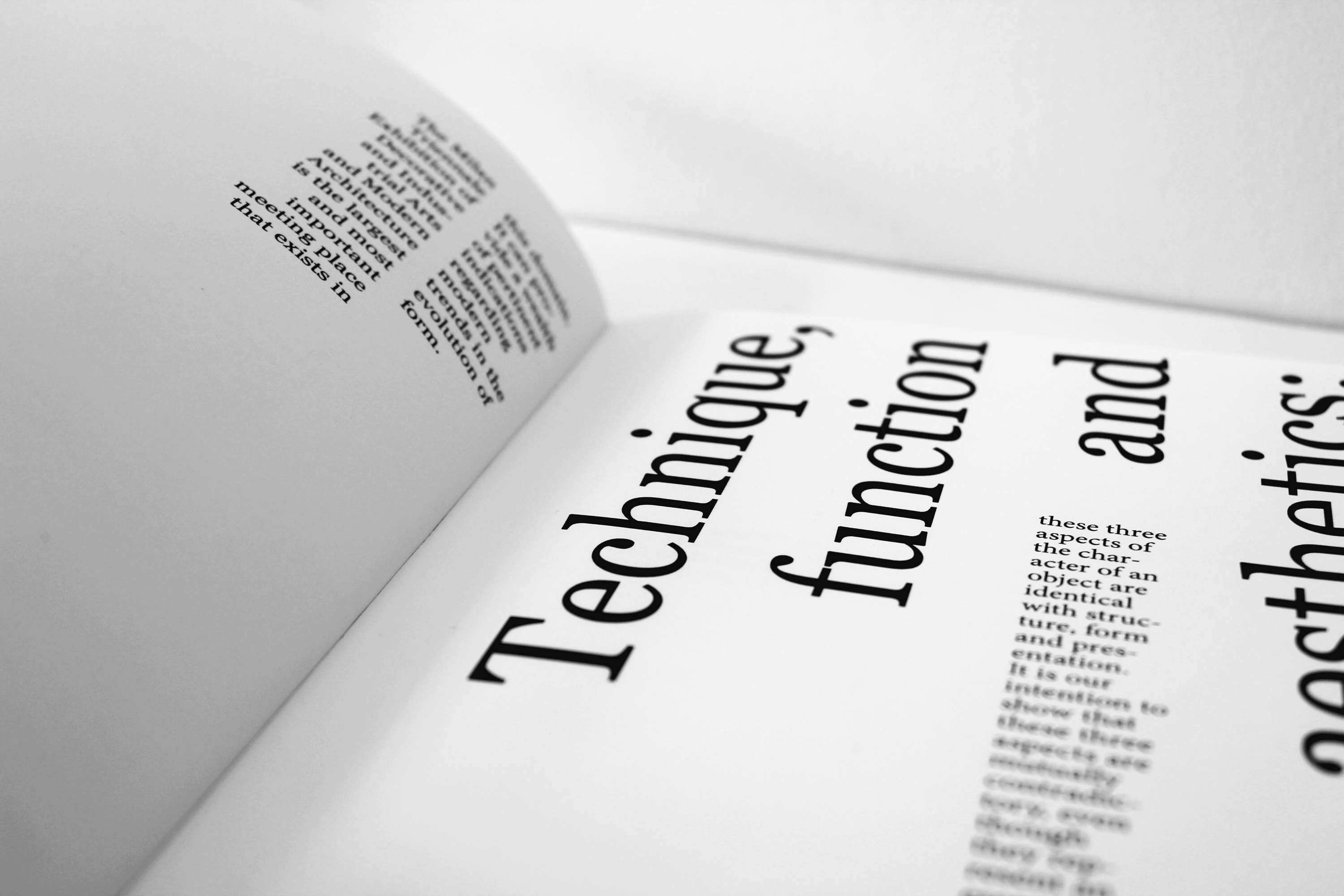 Against Functionalism by Rosie Hobbs