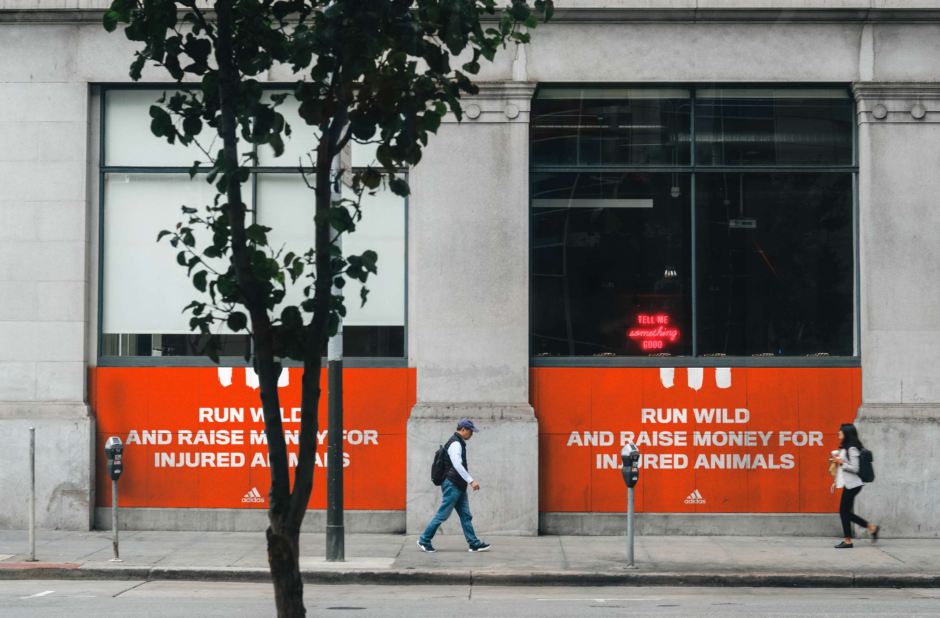 Run Wild by Daniel Swainson