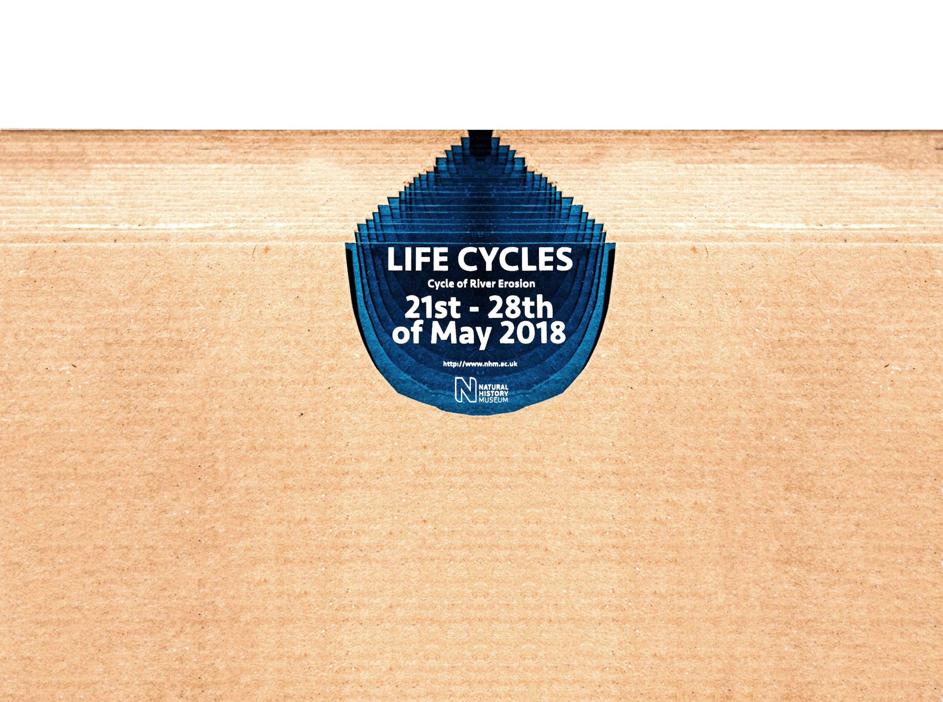 Life Cycles by Ema Stonciute