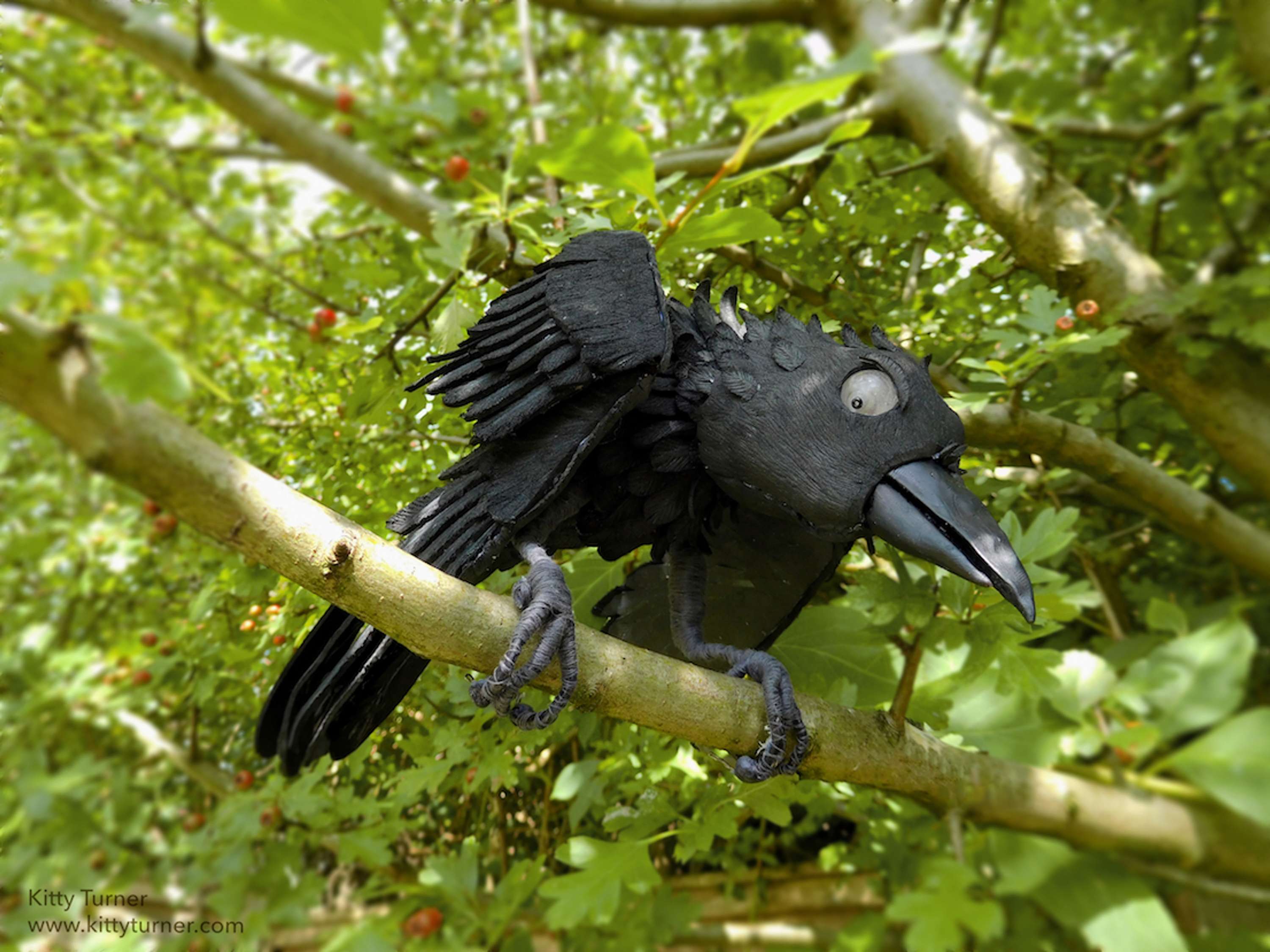 Crow Model | Kitty Turner by Kitty Turner