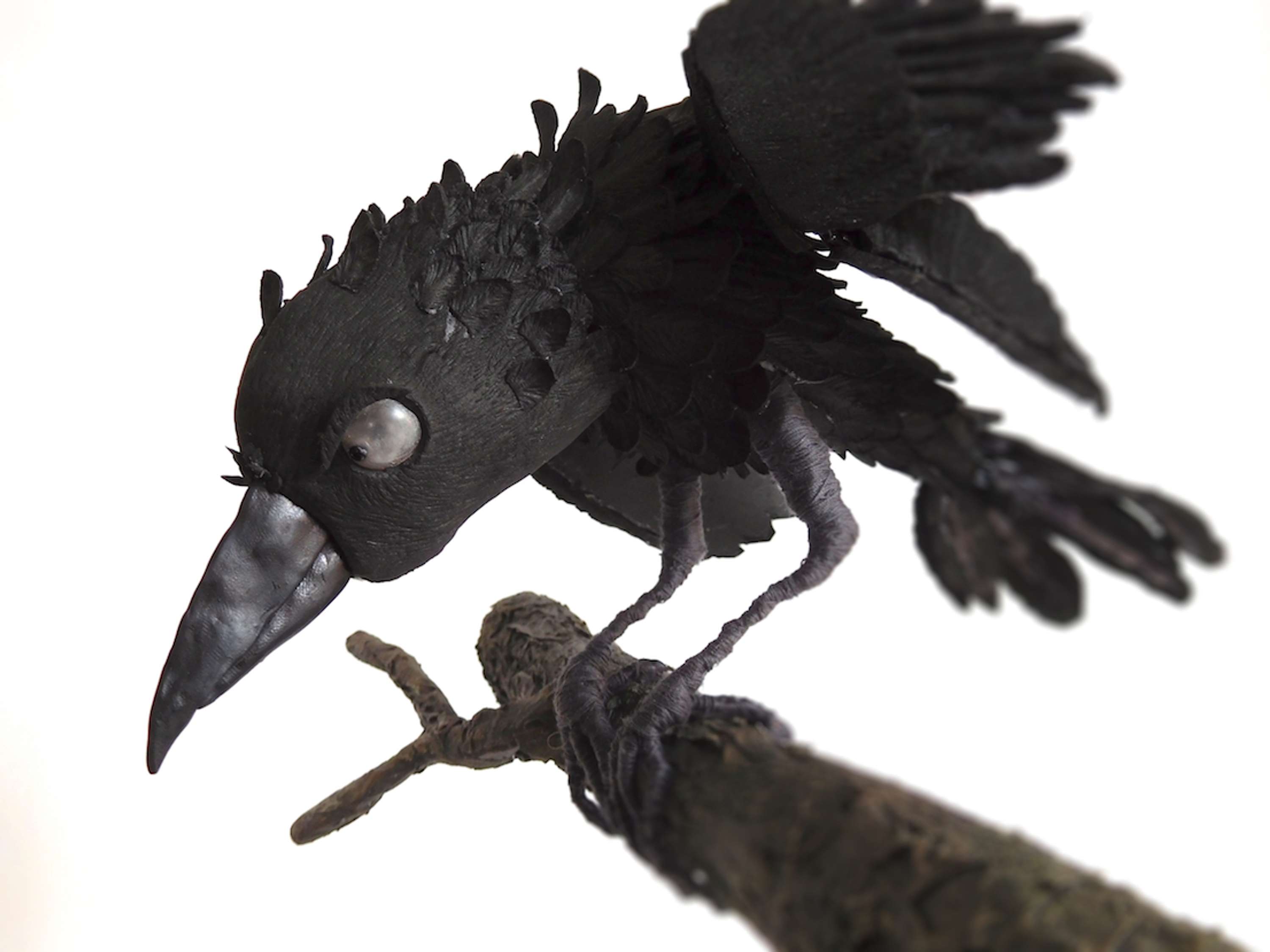 Crow Model | Kitty Turner by Kitty Turner