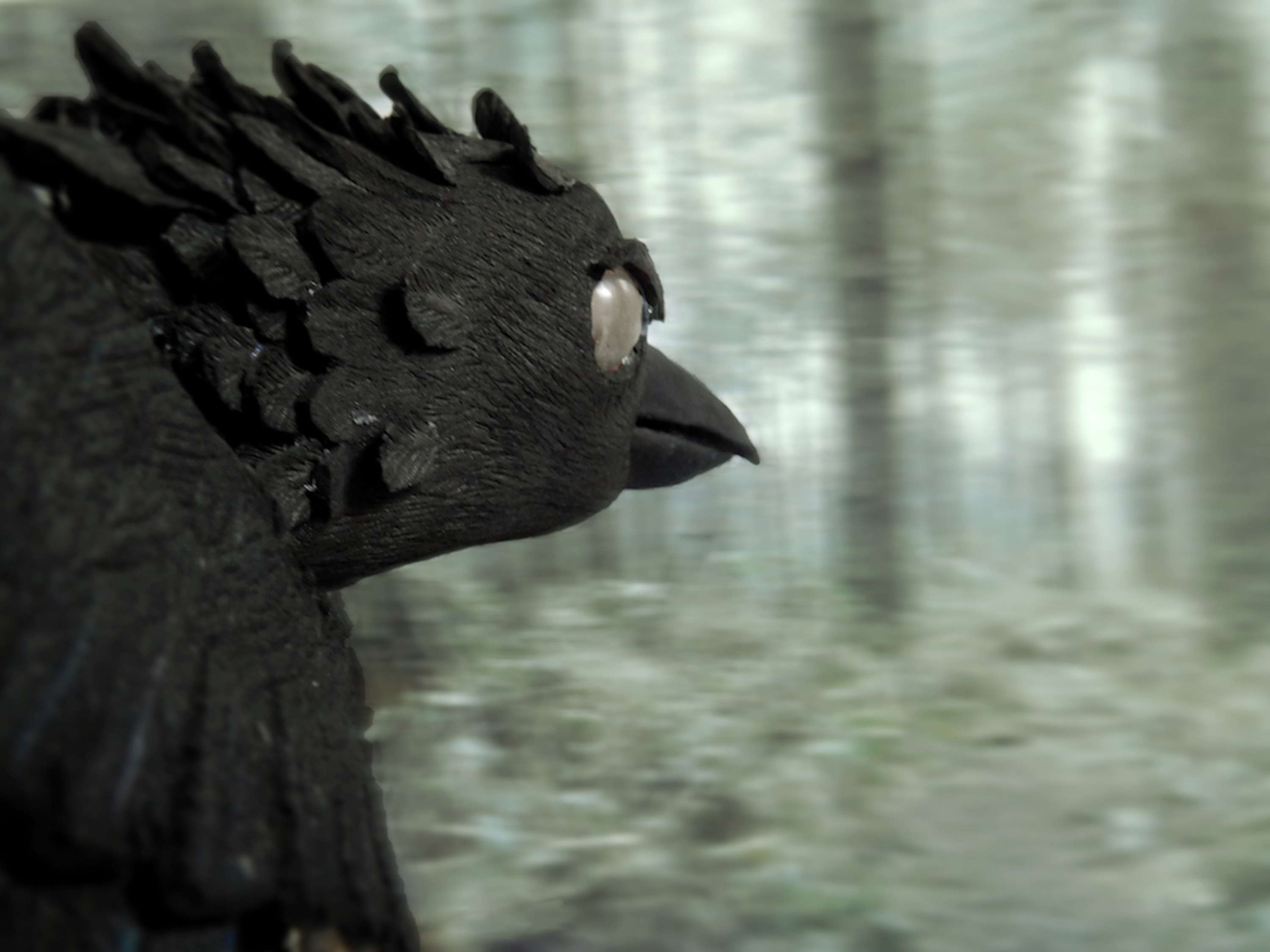 Crow Model | Kitty Turner by Kitty Turner