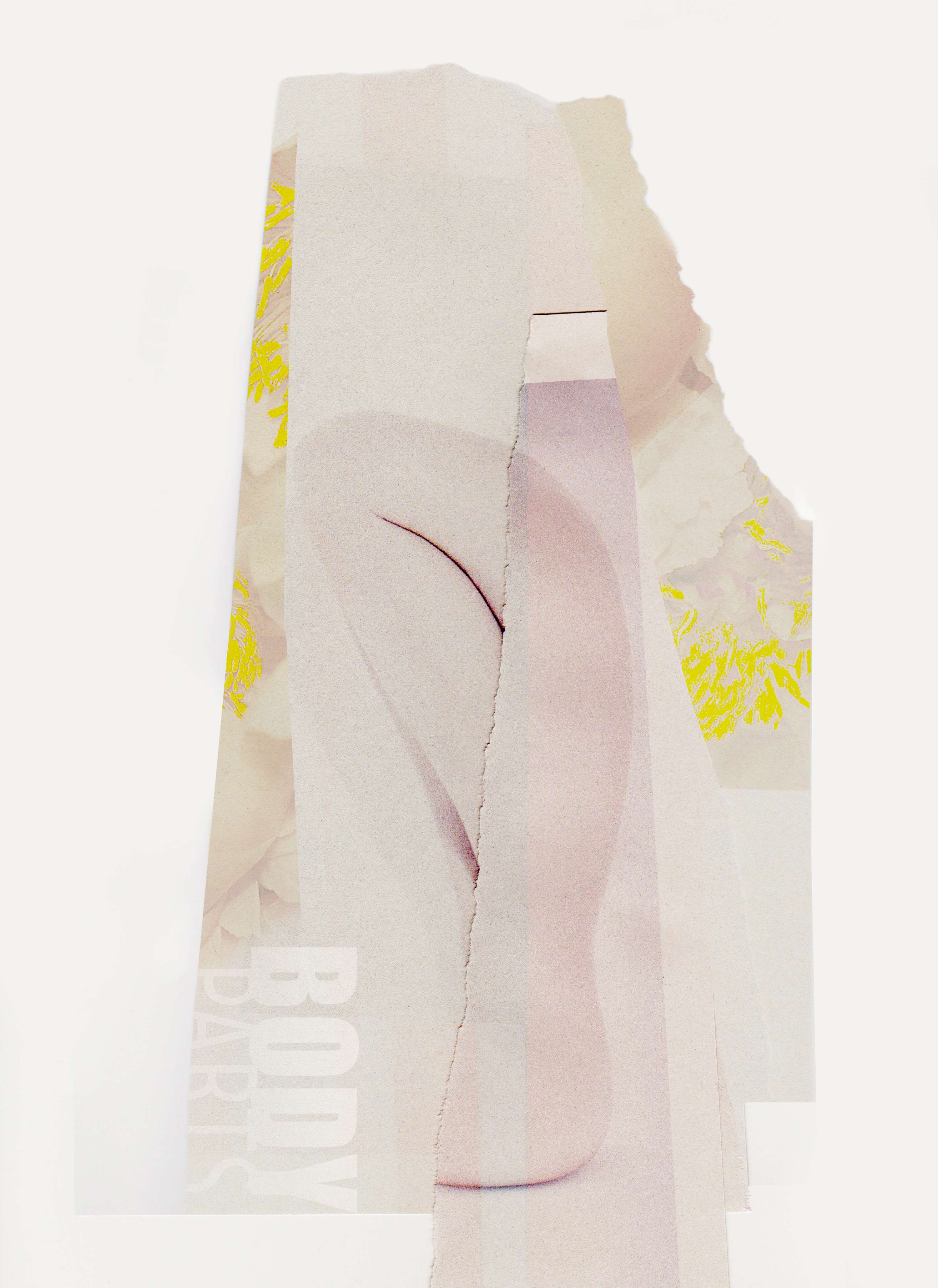 COLLAGE / body parts by Joanna Kata