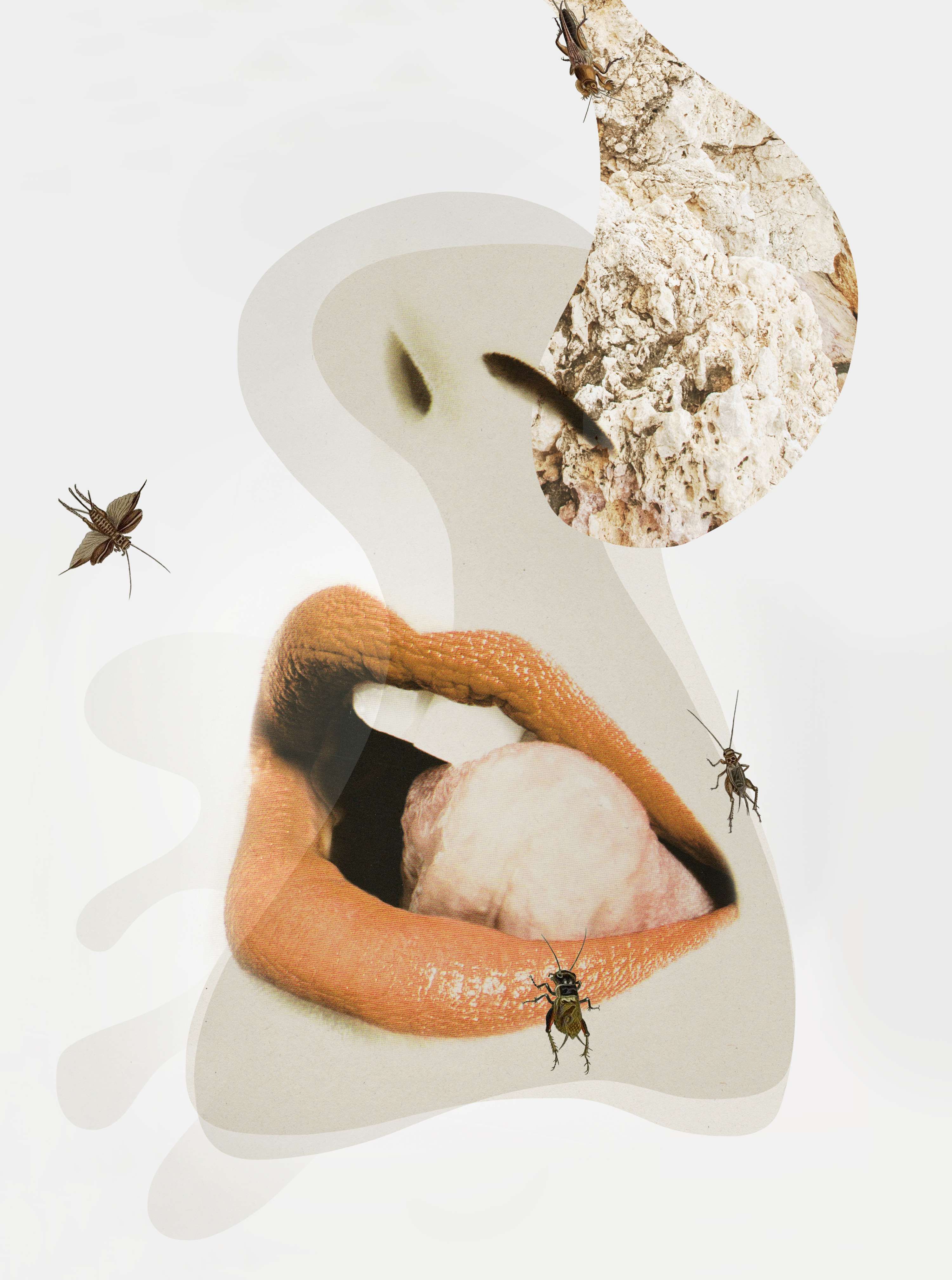 COLLAGE / body parts by Joanna Kata