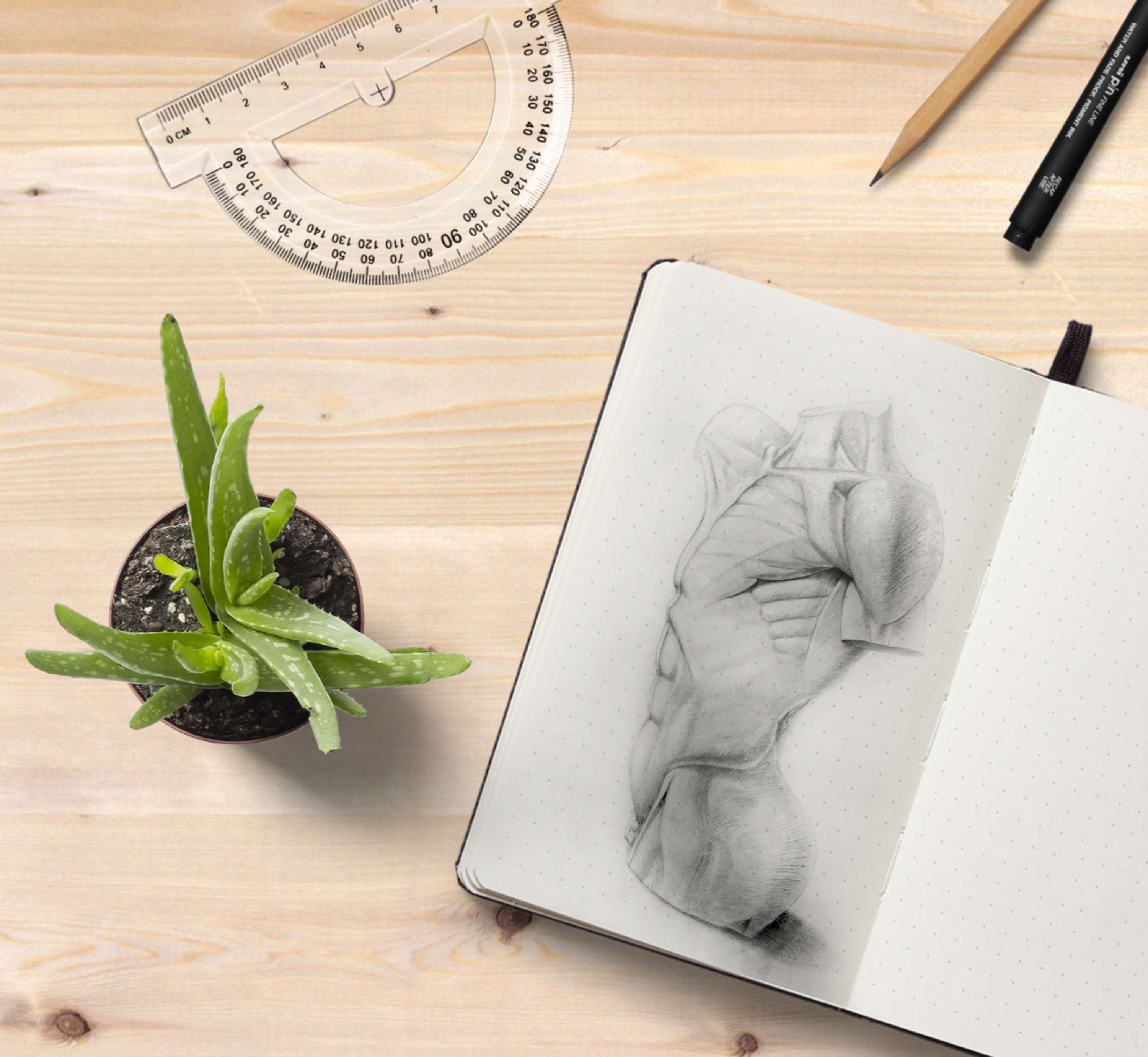 Drawings by Evelina Ulickaite