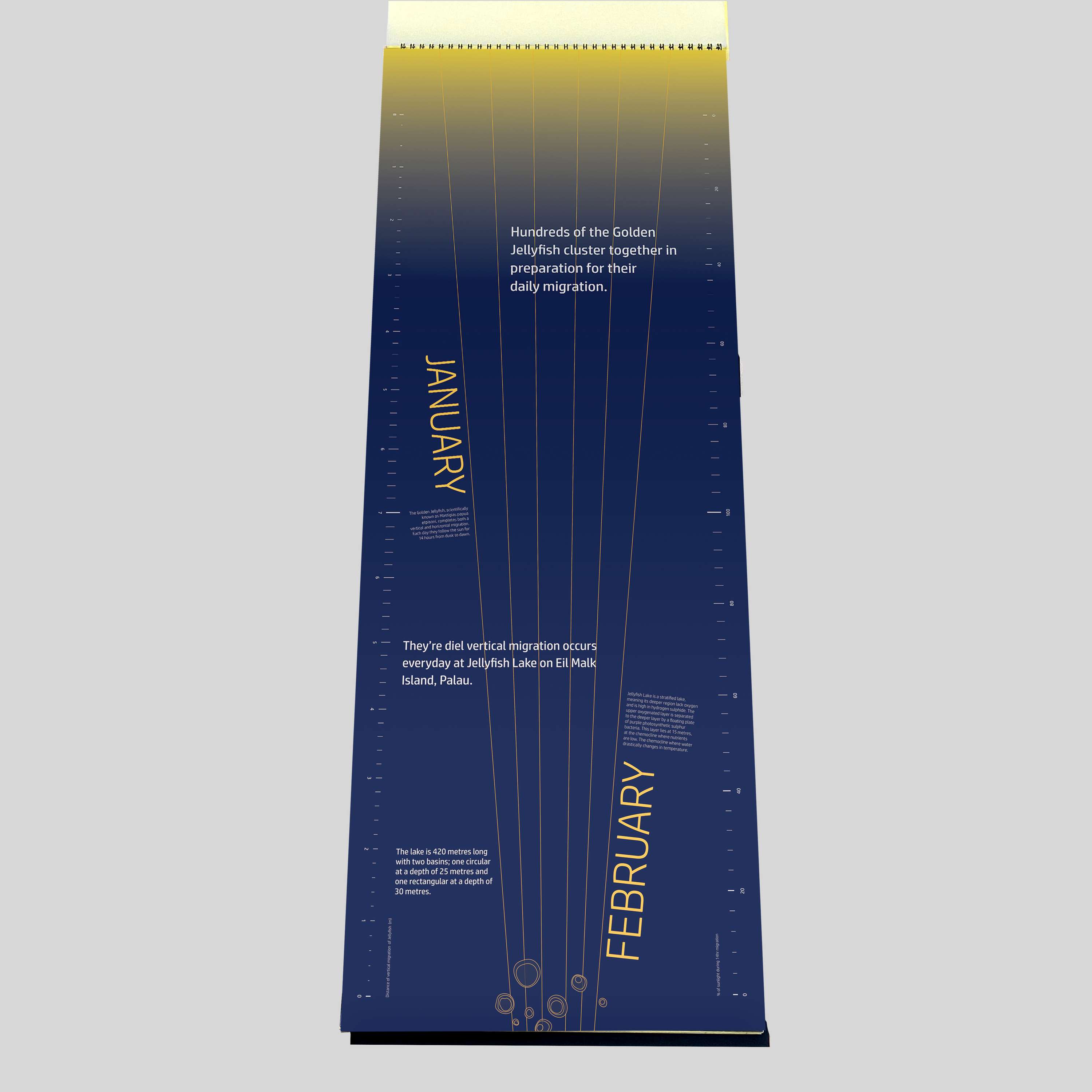 ISTD Daily Migration of The Golden Jellyfish by Tanisha Varsani