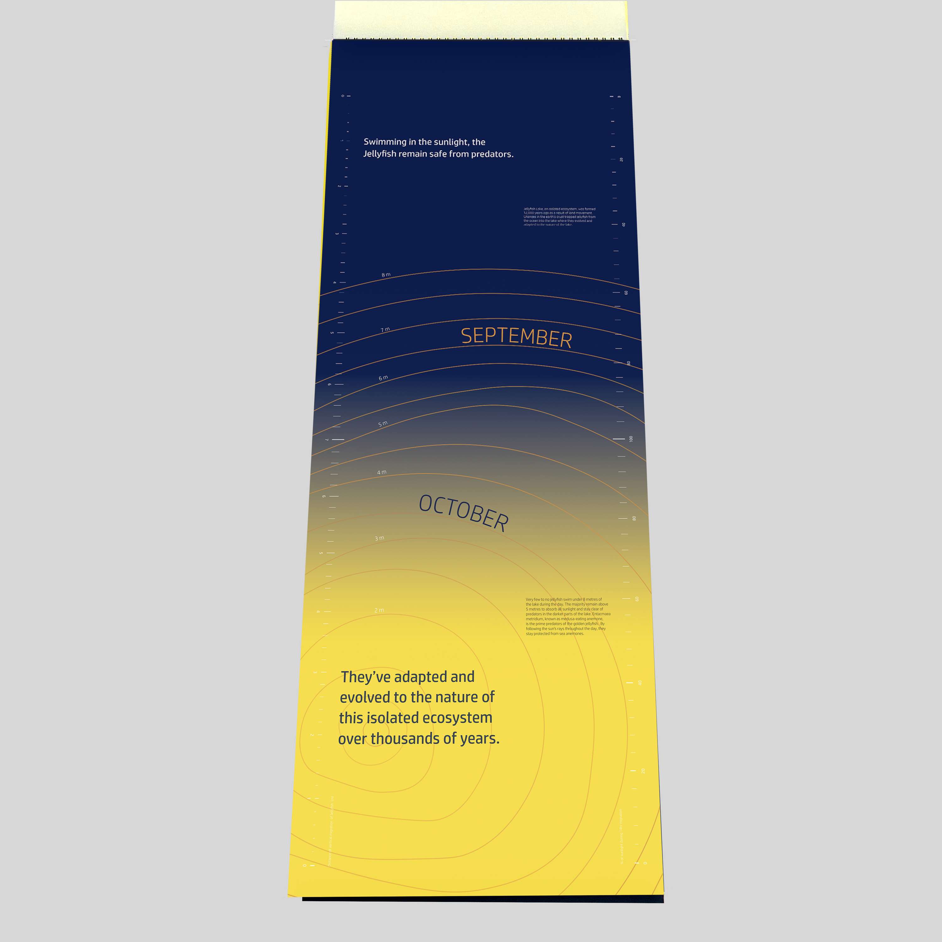 ISTD Daily Migration of The Golden Jellyfish by Tanisha Varsani