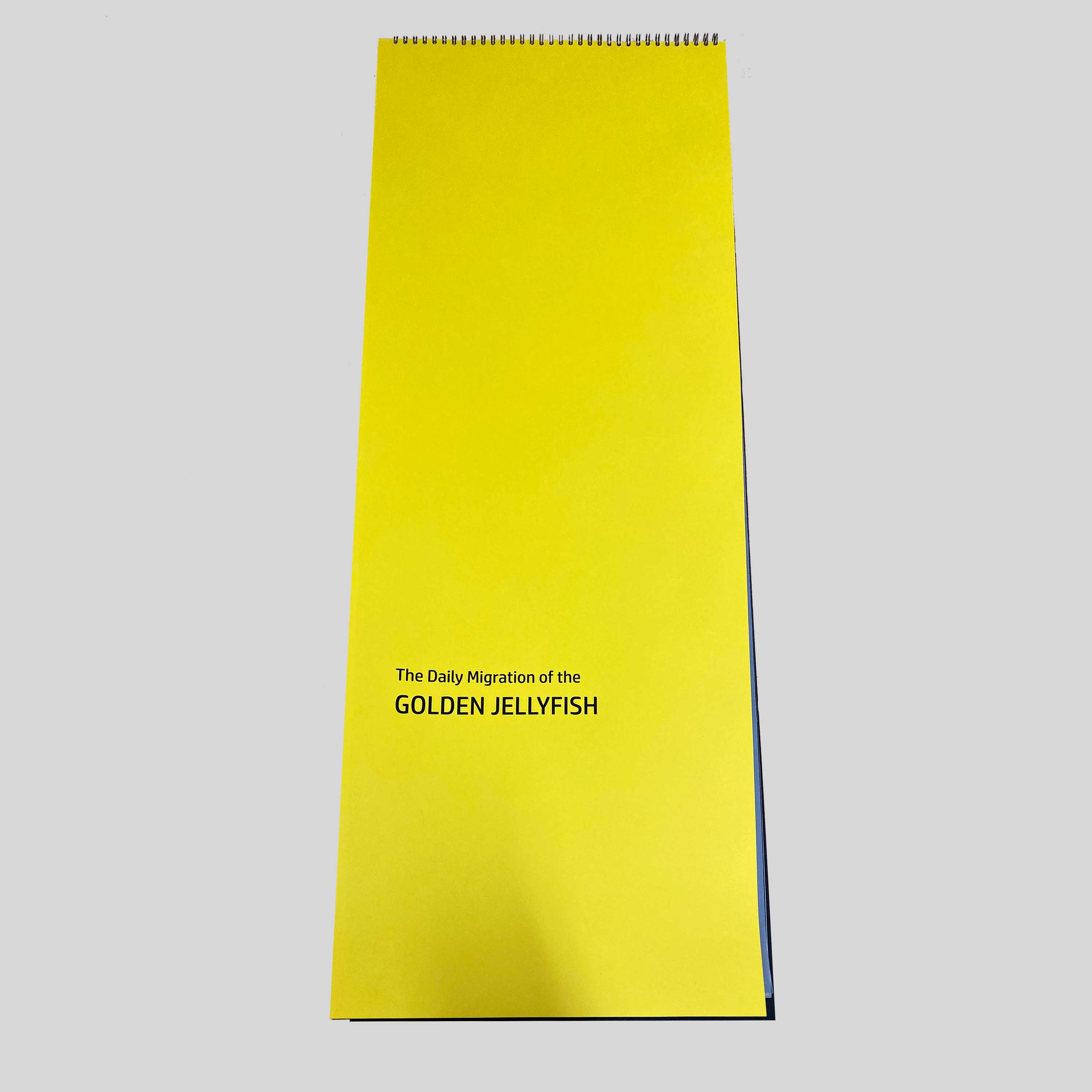 ISTD Daily Migration of The Golden Jellyfish by Tanisha Varsani