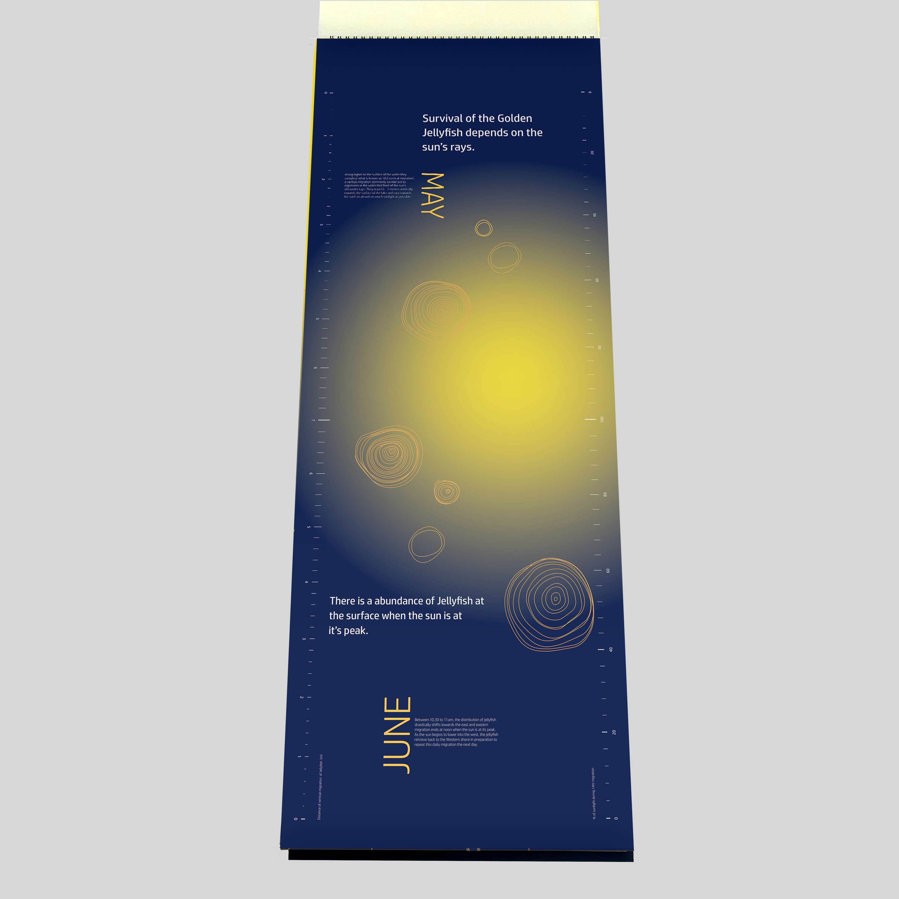 ISTD Daily Migration of The Golden Jellyfish by Tanisha Varsani