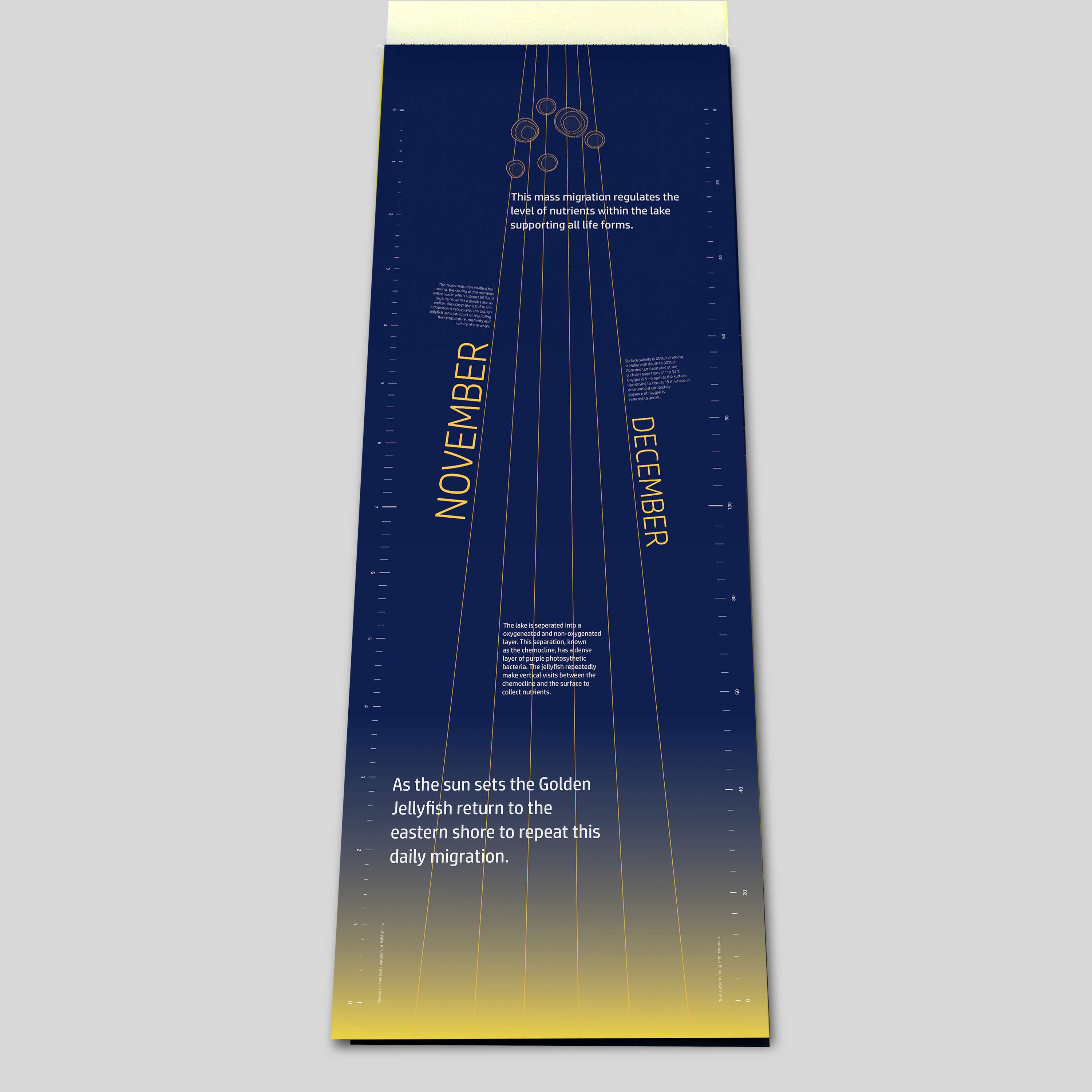 ISTD Daily Migration of The Golden Jellyfish by Tanisha Varsani