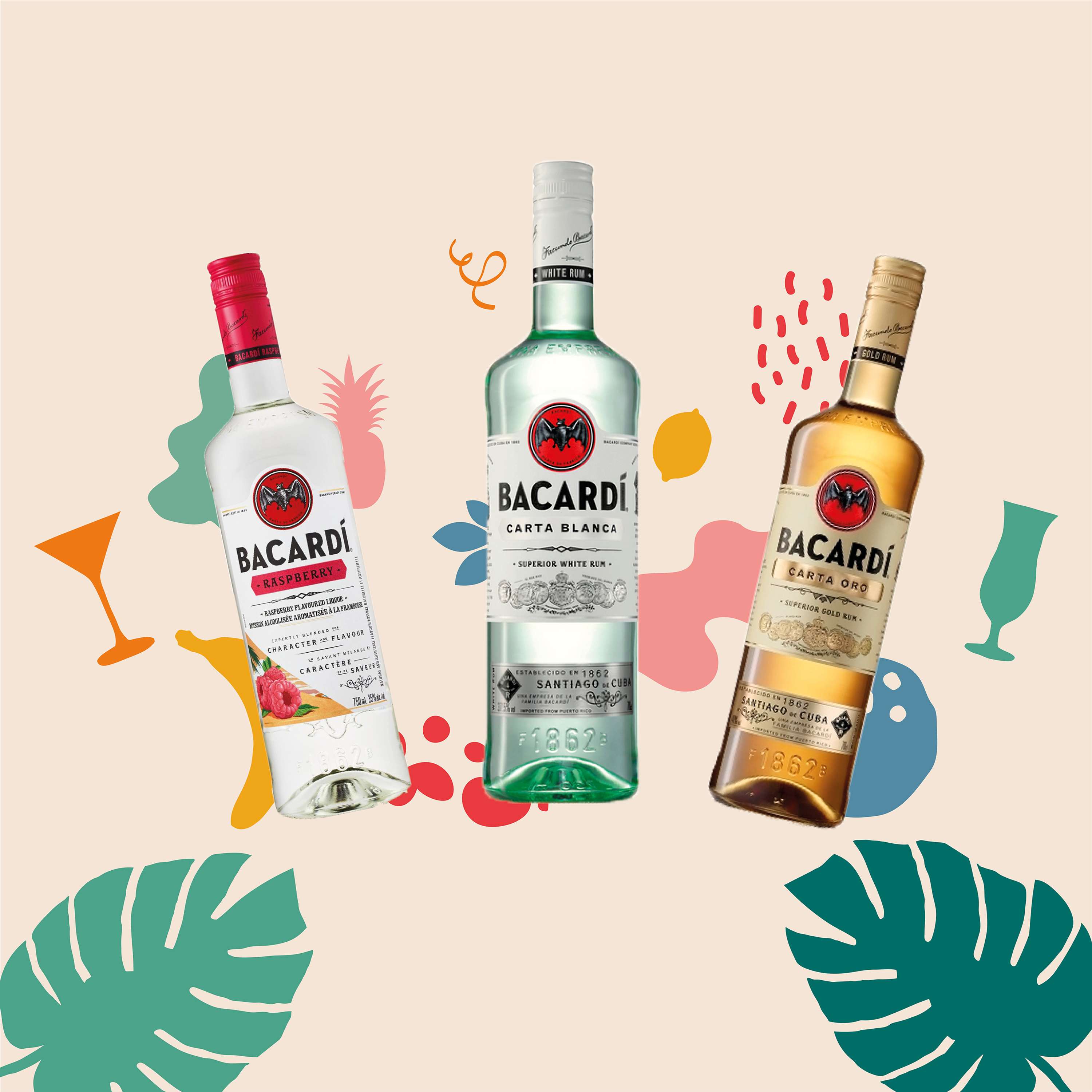 Bacardio by Elise Pederick