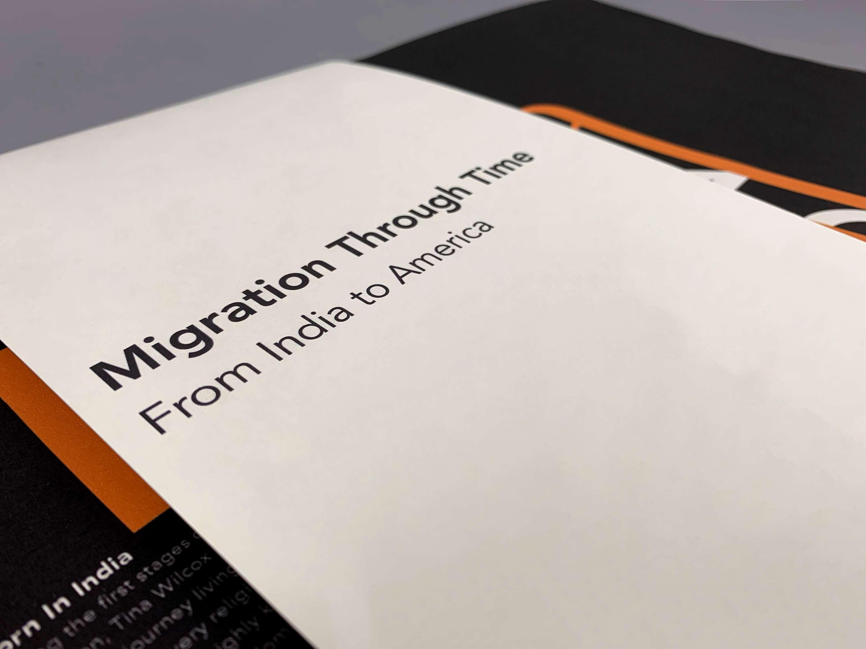 ISTD 2020 - Migration Through time by Hannah Nardini