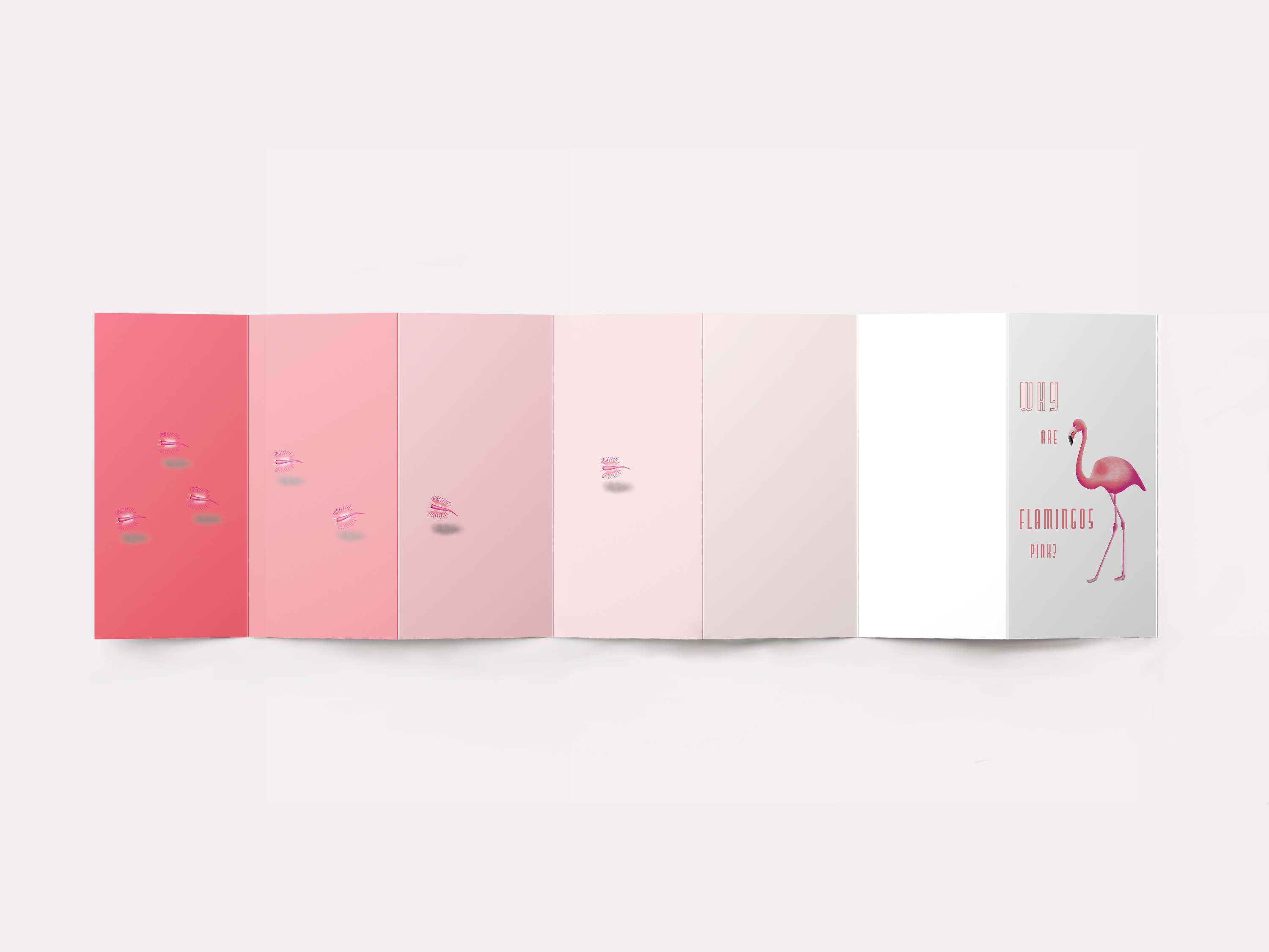 Why are Flamingos Pink? by Amie Carter