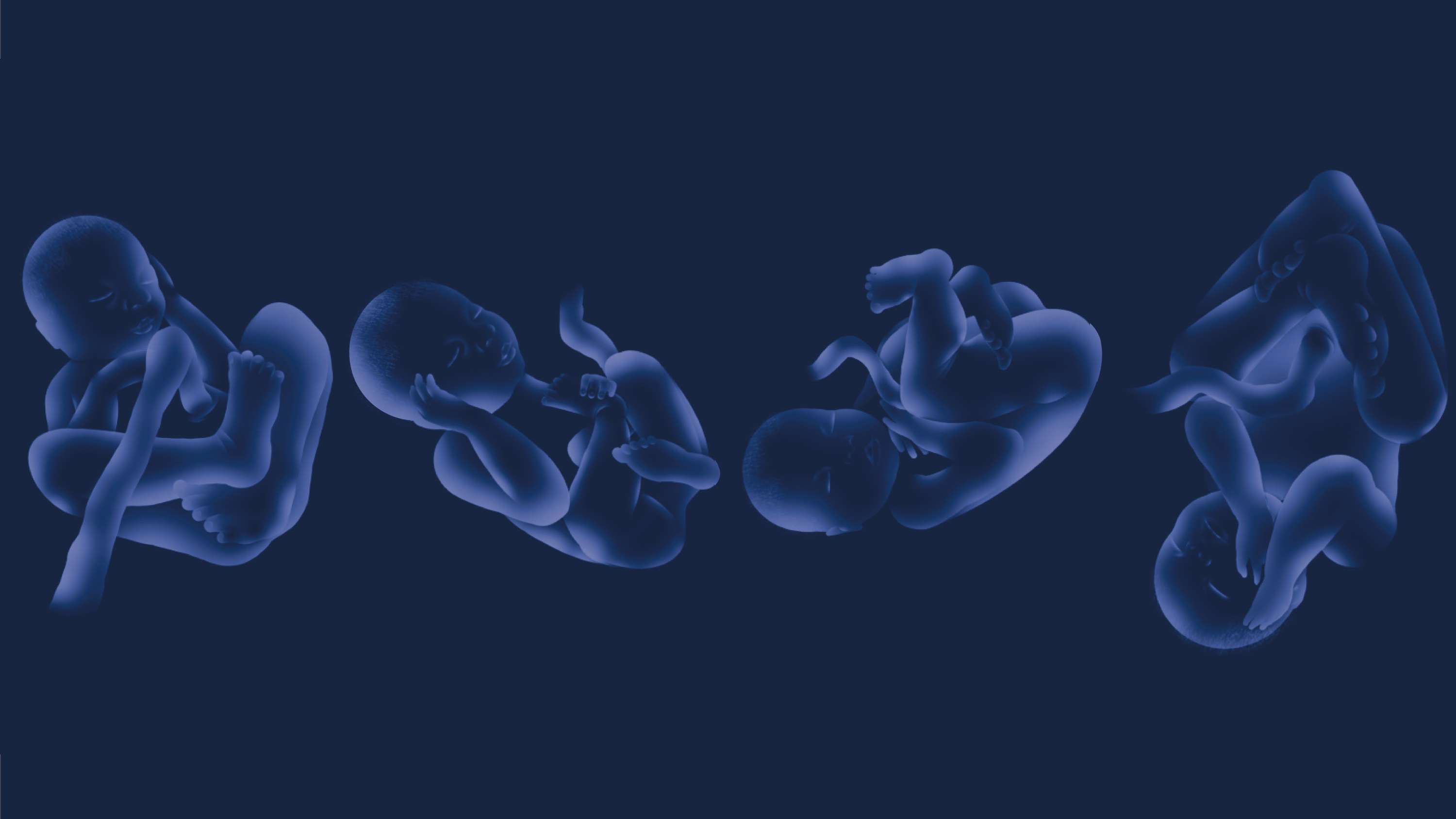 Human Development in the Womb - Educative Programme by Johanna Furst