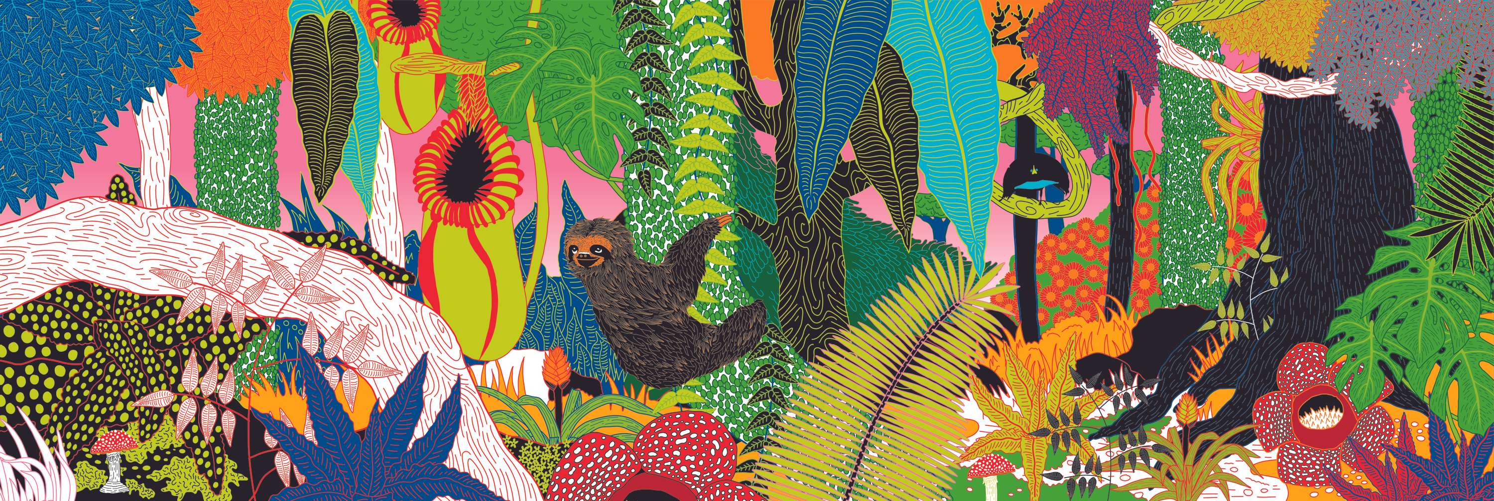 Biotopia by Phoebe Hoare