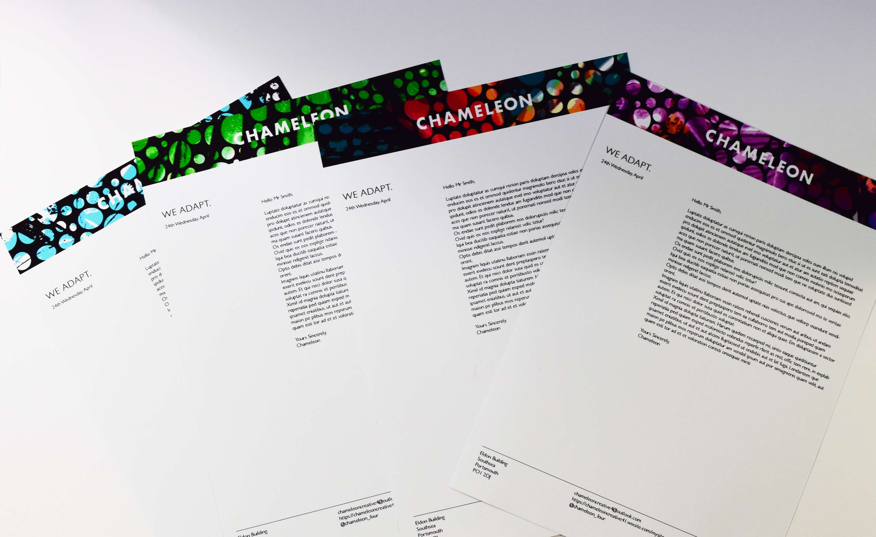 Chameleon Studio Branding by Bethany Lawrence