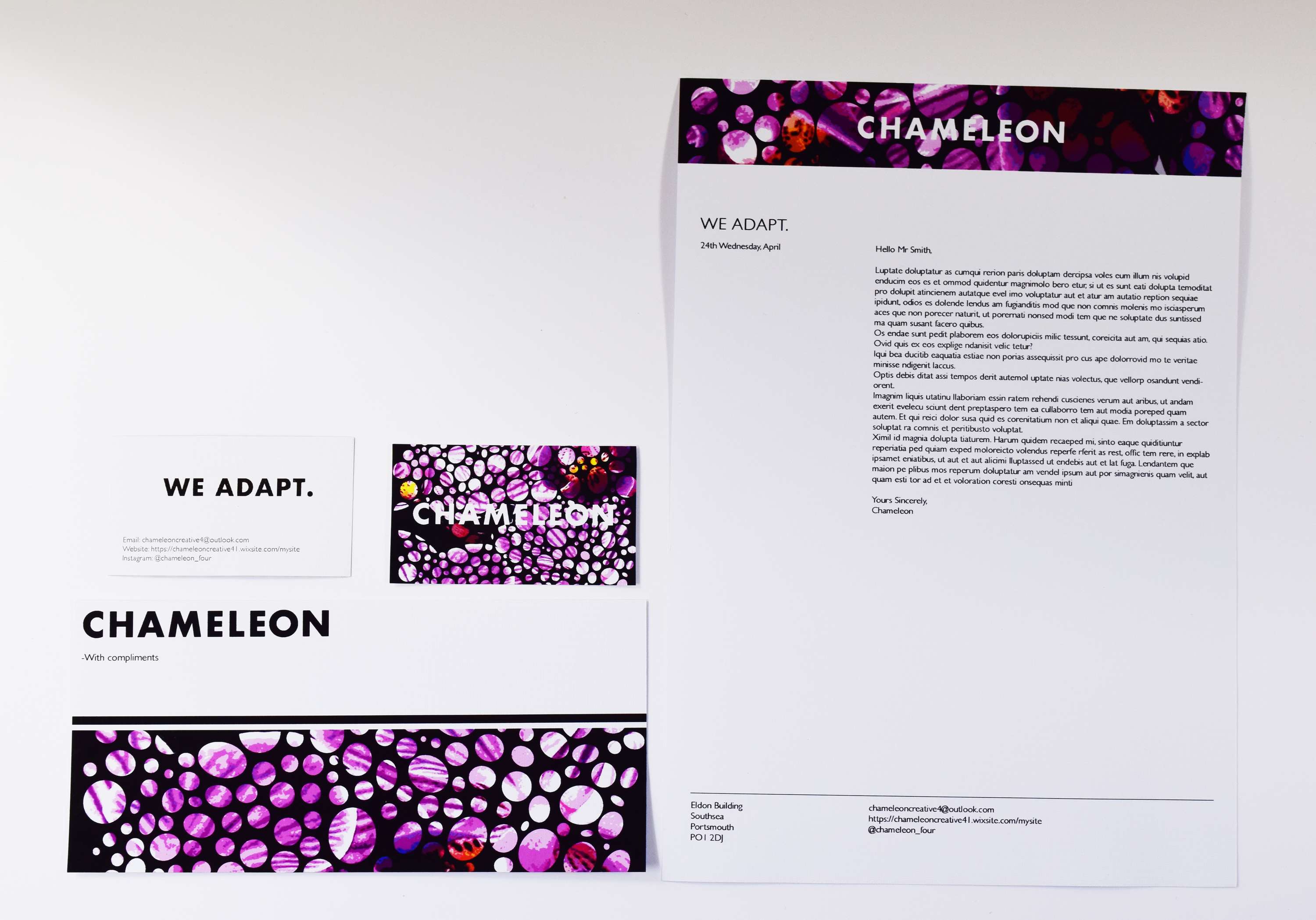 Chameleon Studio Branding by Bethany Lawrence