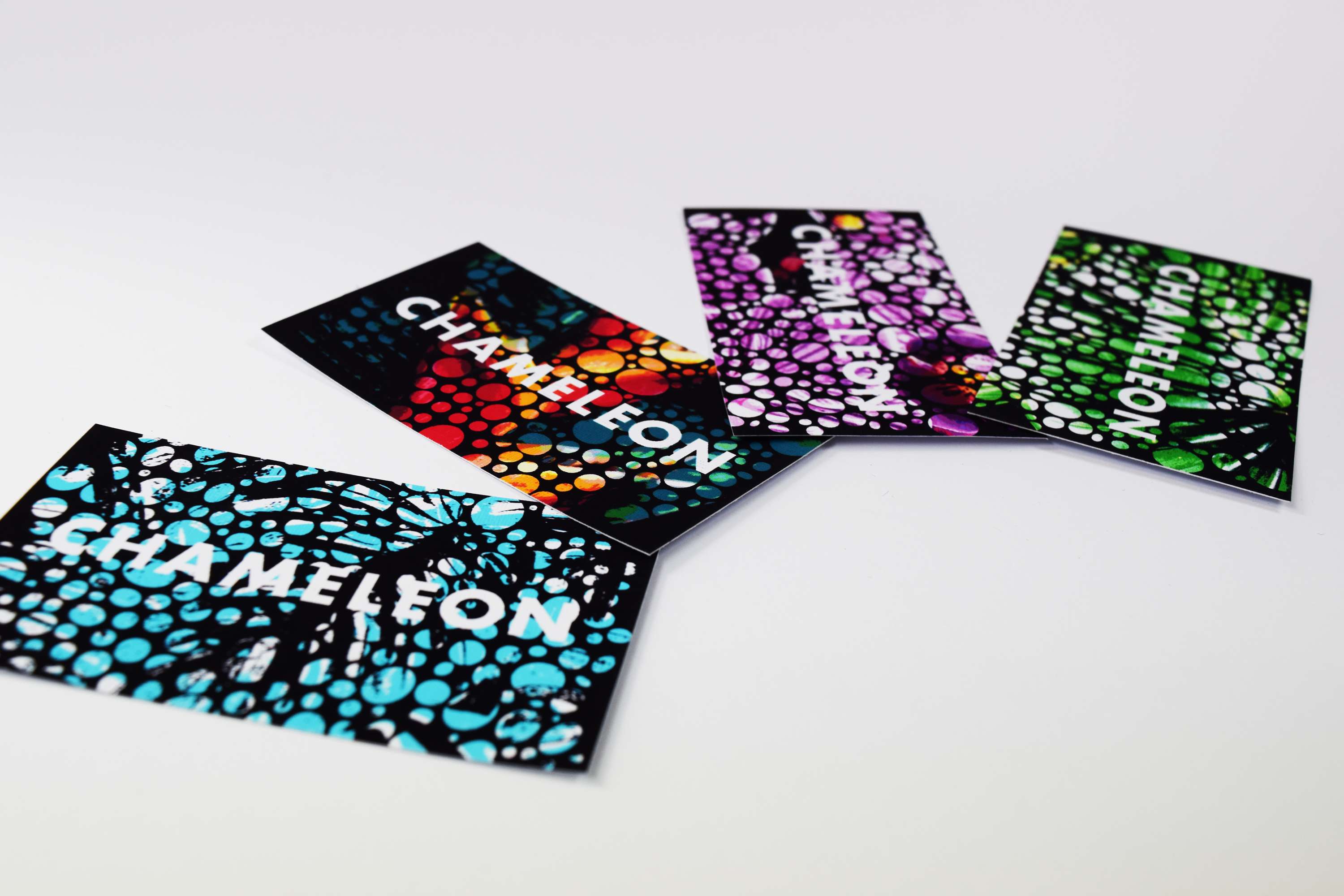 Chameleon Studio Branding by Bethany Lawrence