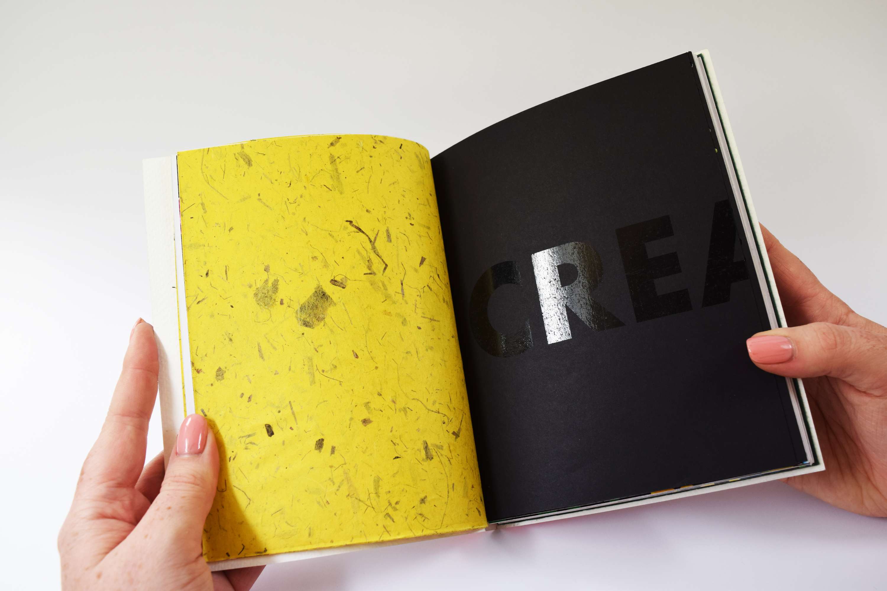 Chameleon Studio Branding by Bethany Lawrence
