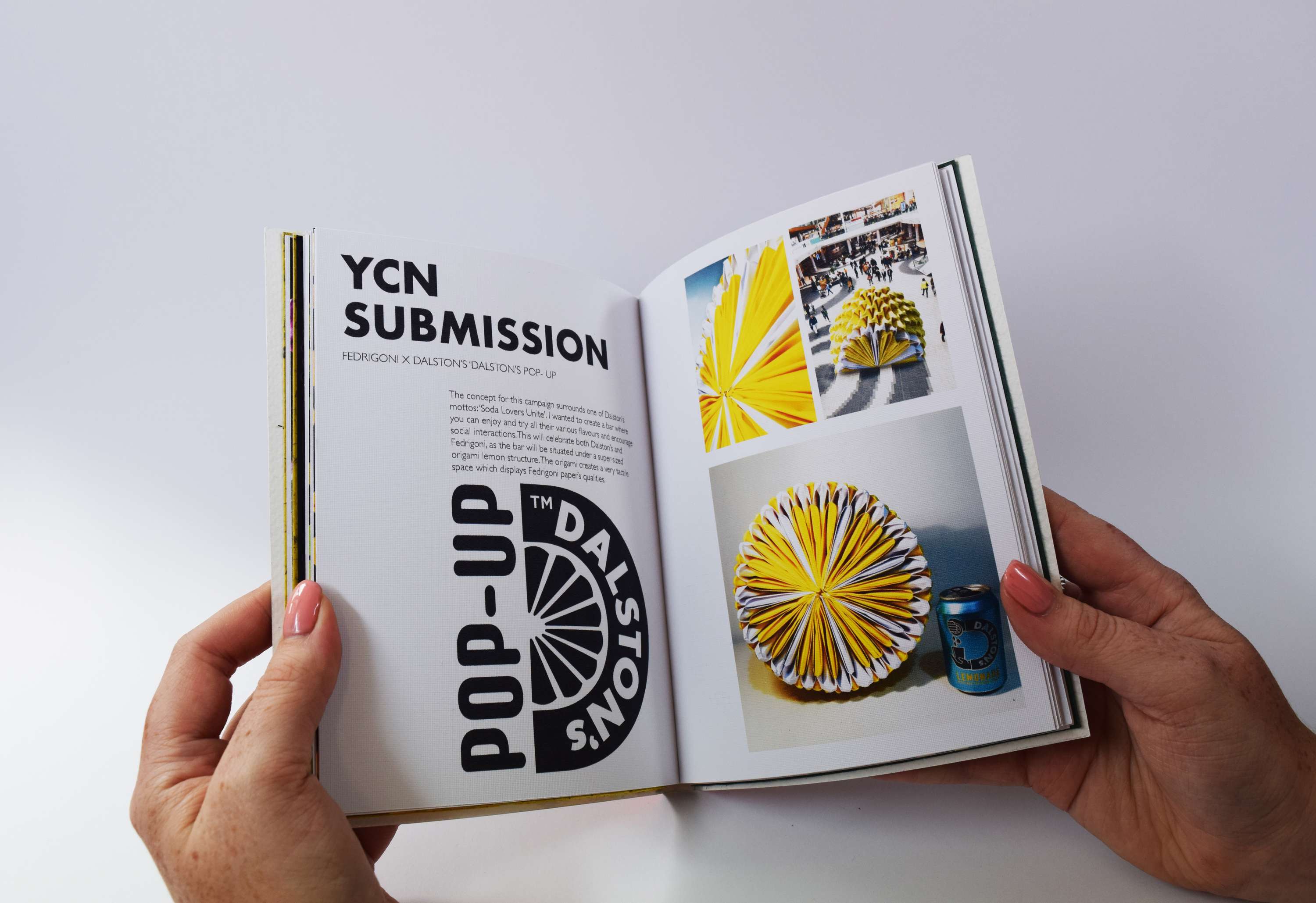 Chameleon Studio Branding by Bethany Lawrence