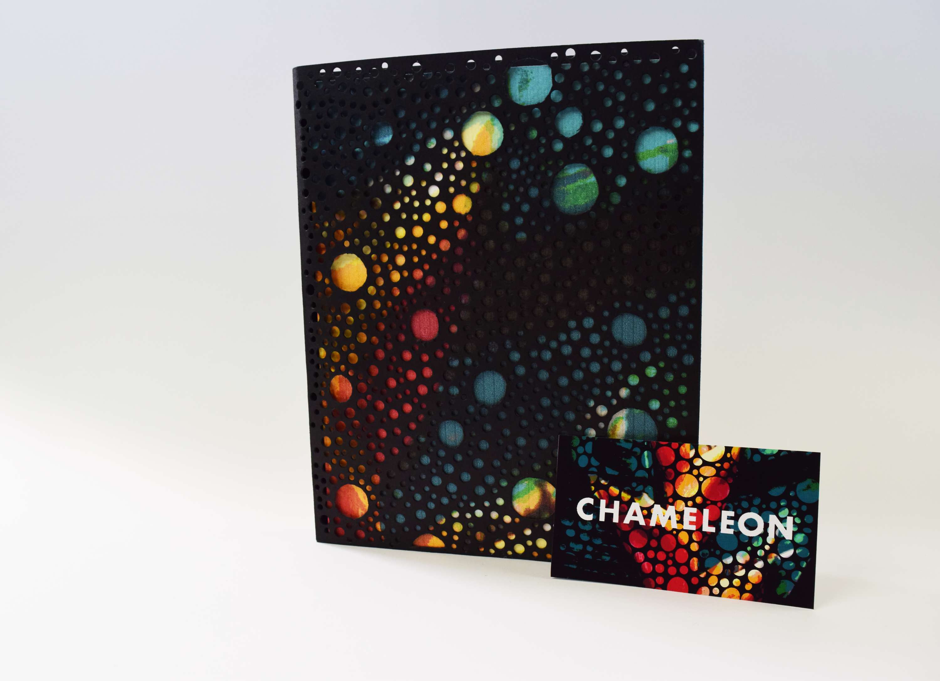 Chameleon Studio Branding by Bethany Lawrence