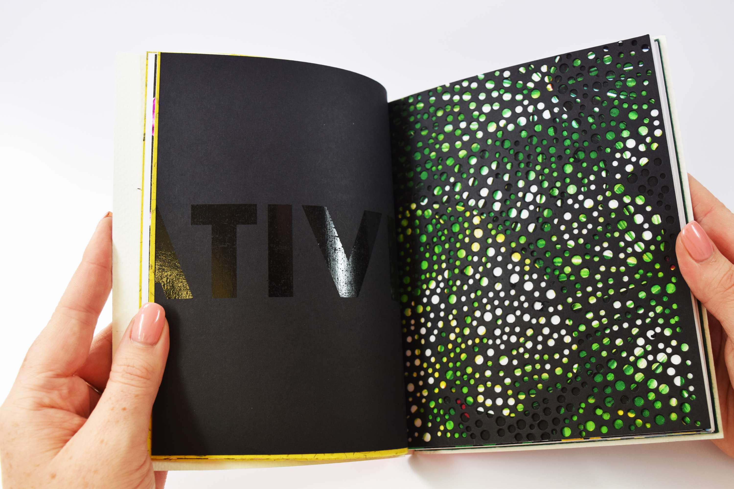 Chameleon Studio Branding by Bethany Lawrence