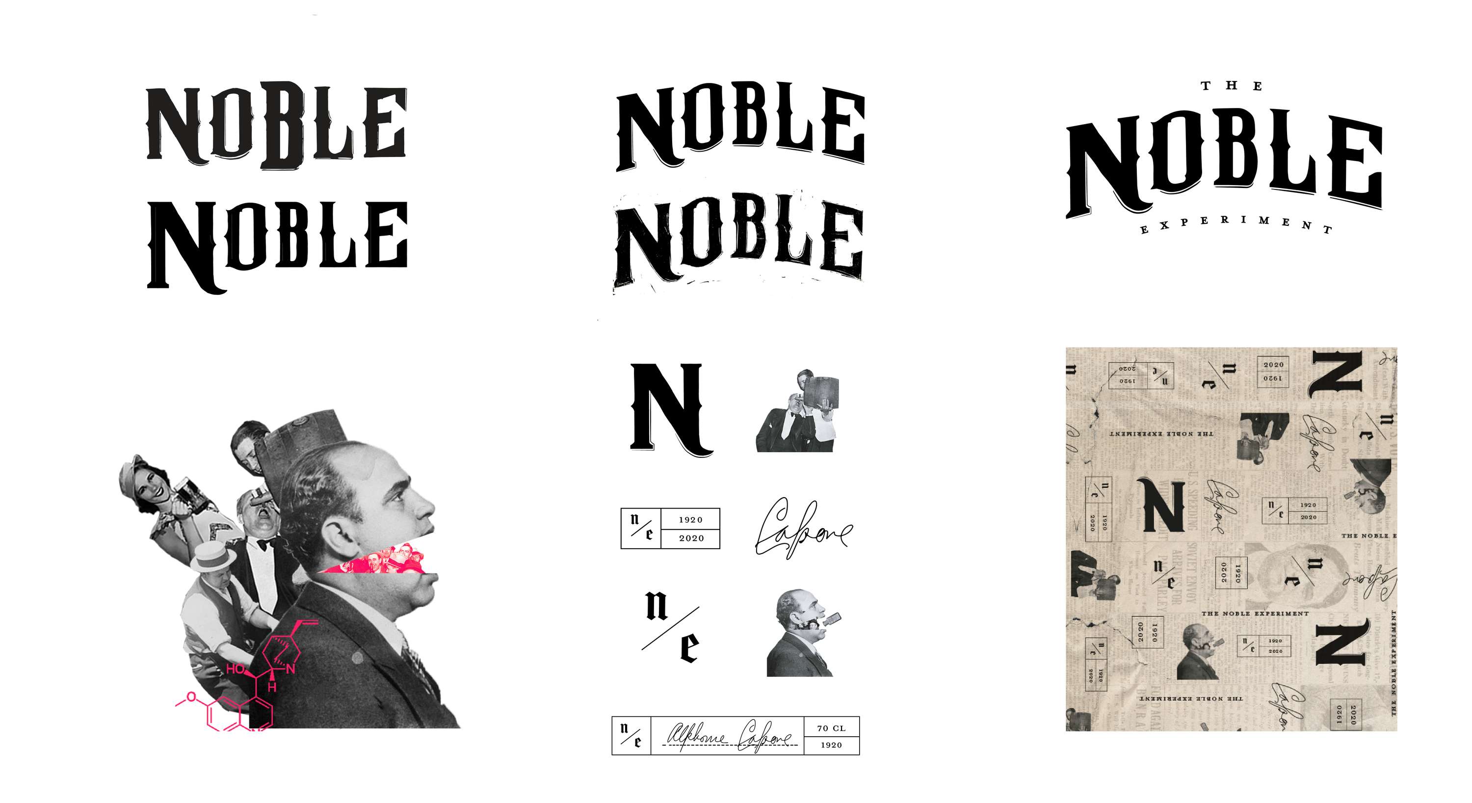 The Noble Experiment by Hollie Sanderson