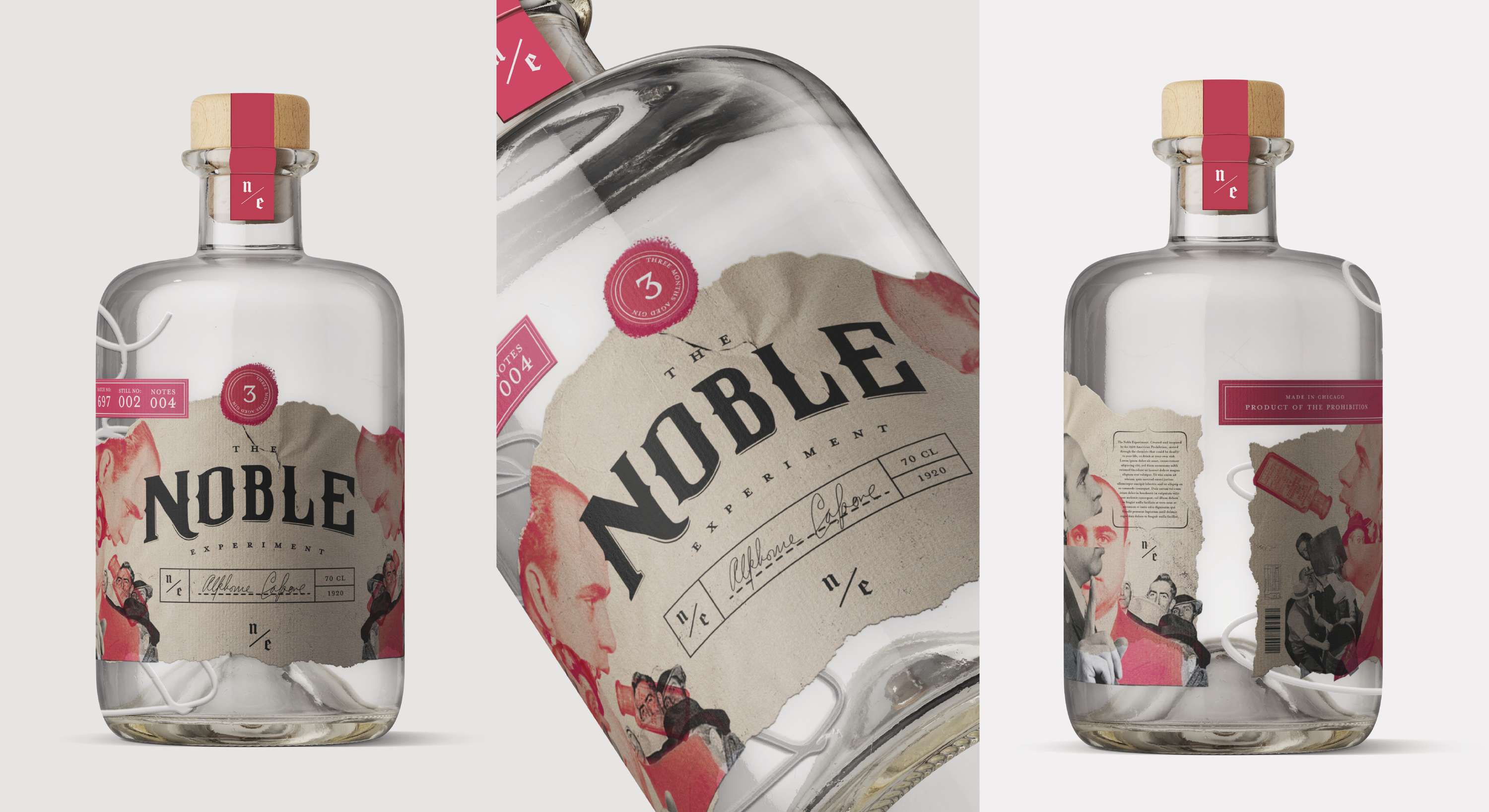 The Noble Experiment by Hollie Sanderson