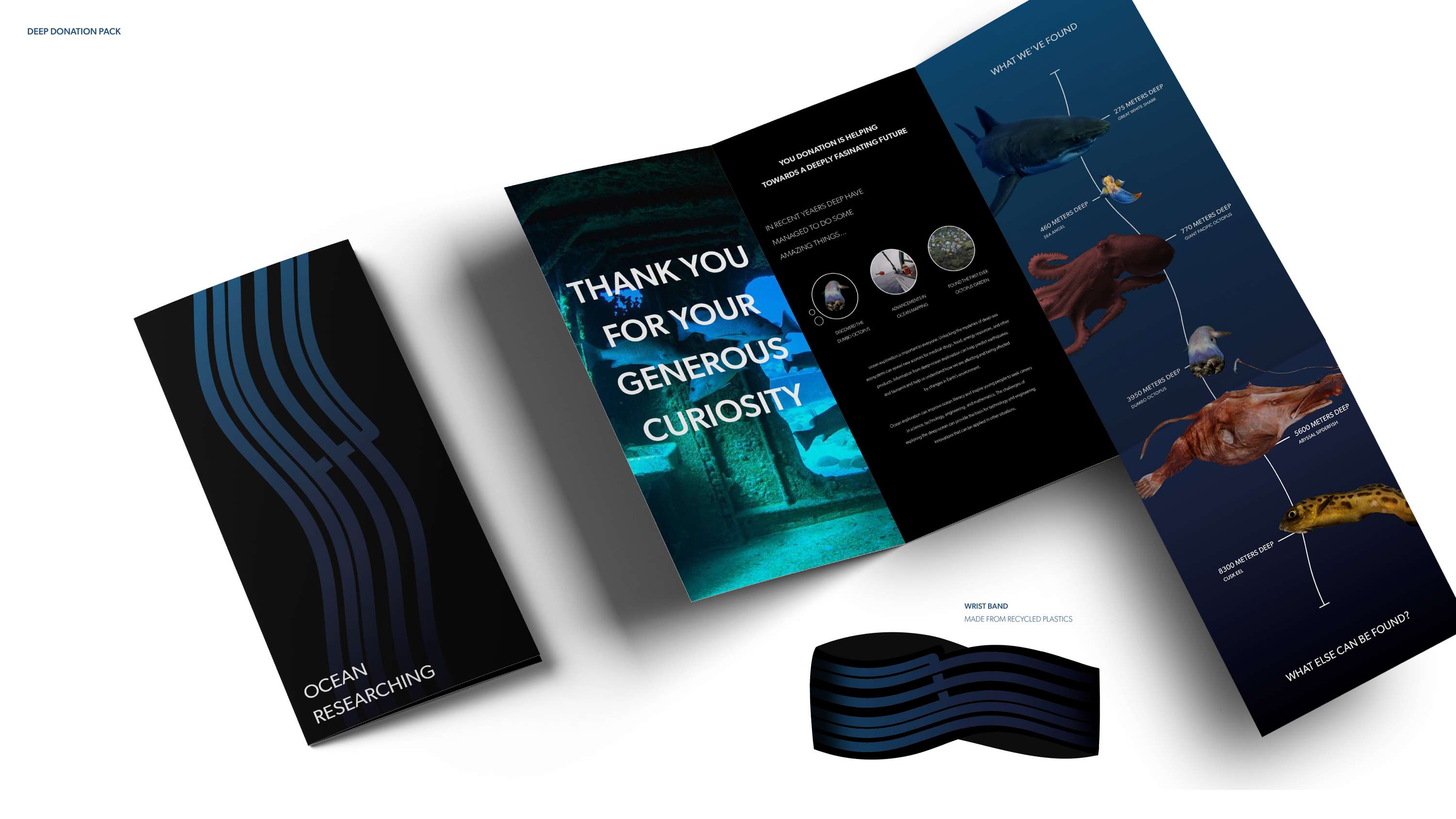 Deep Ocean Researchers by Ryan Peart-Donaldson