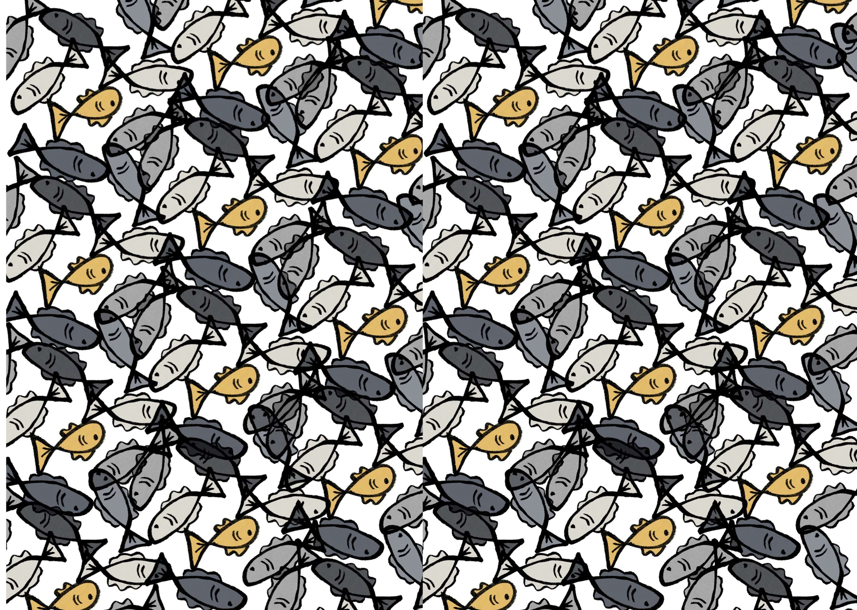 Plenty of Fish by Madison Jeffery