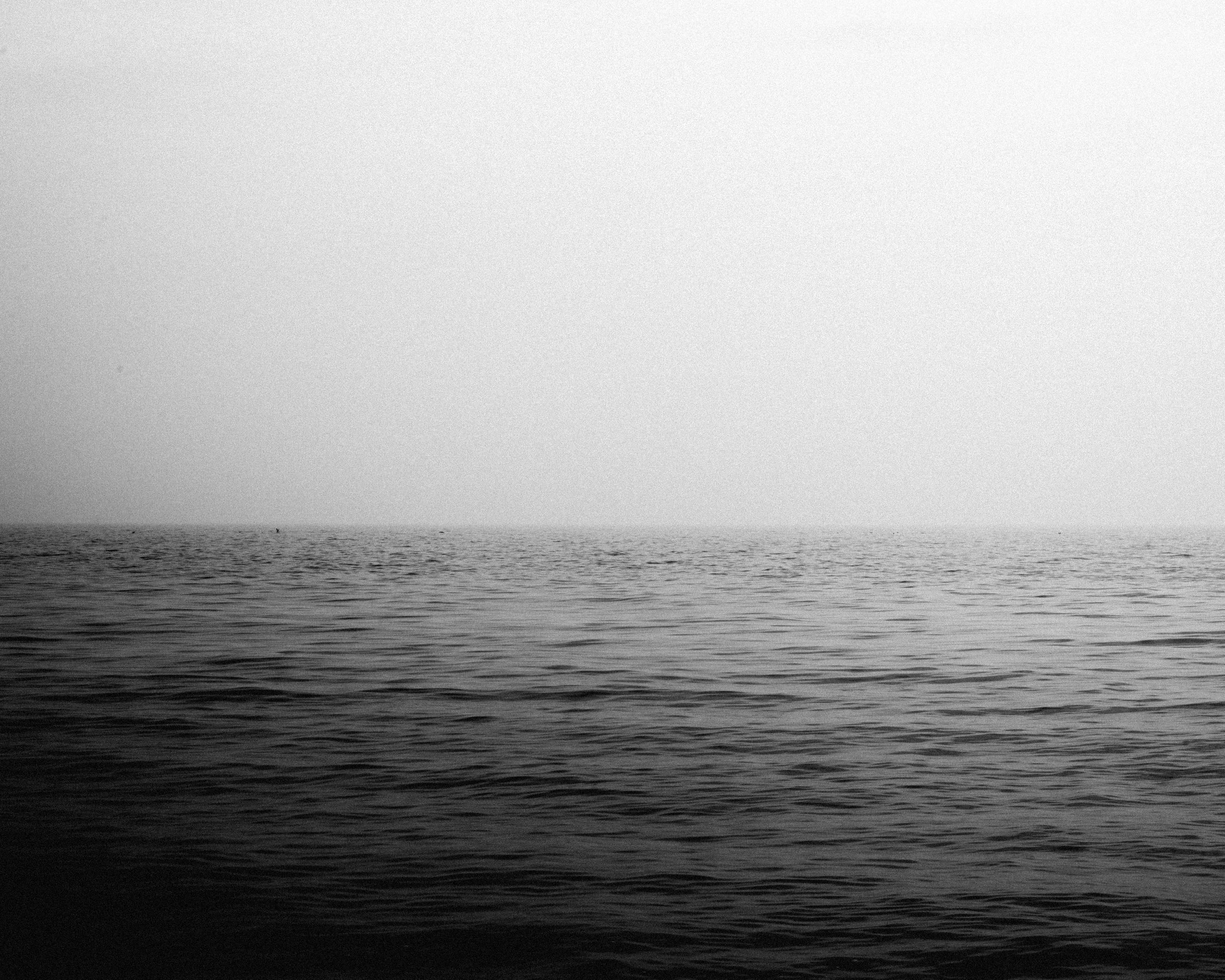 Monochrome by Quinn Humphreys