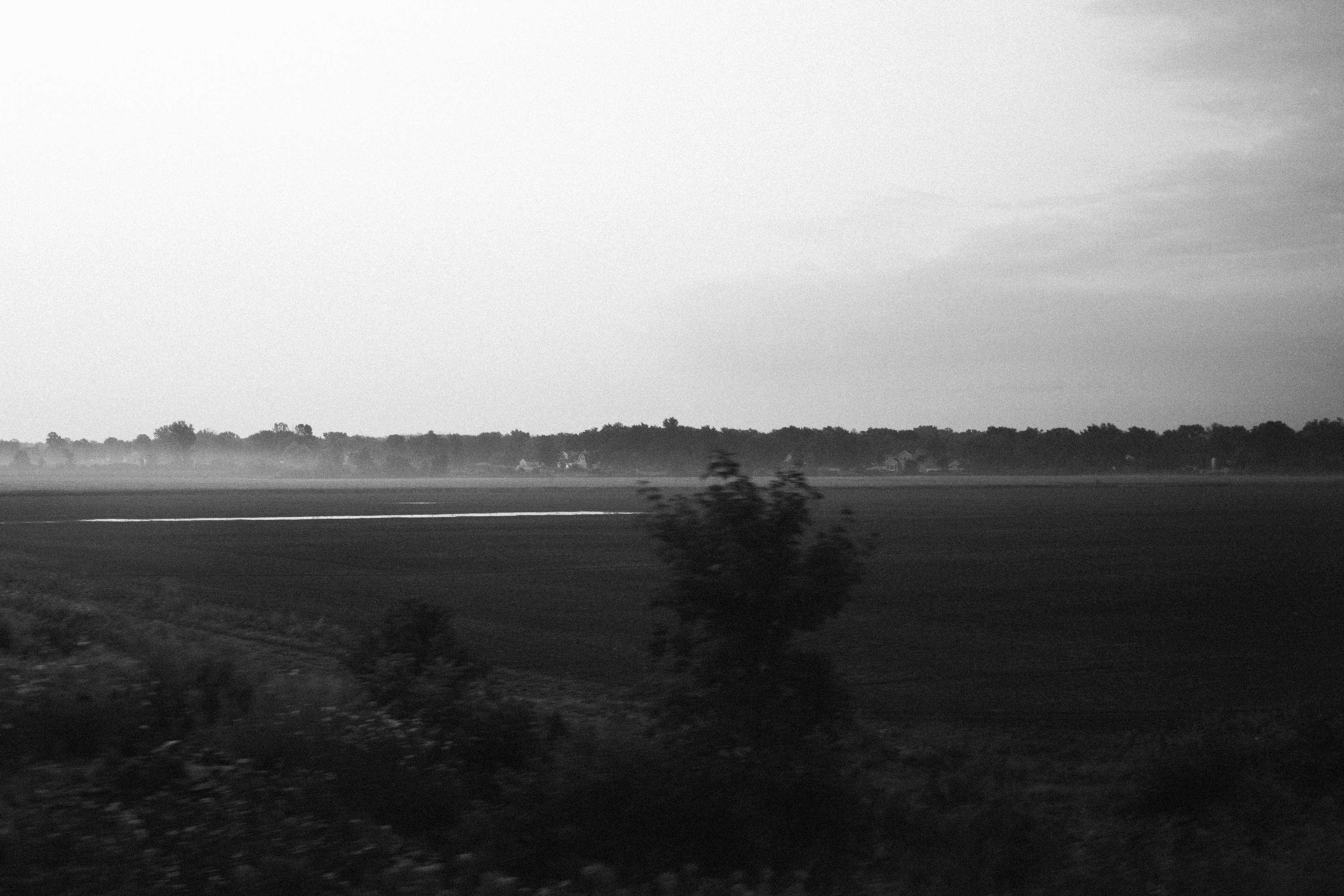 Monochrome by Quinn Humphreys