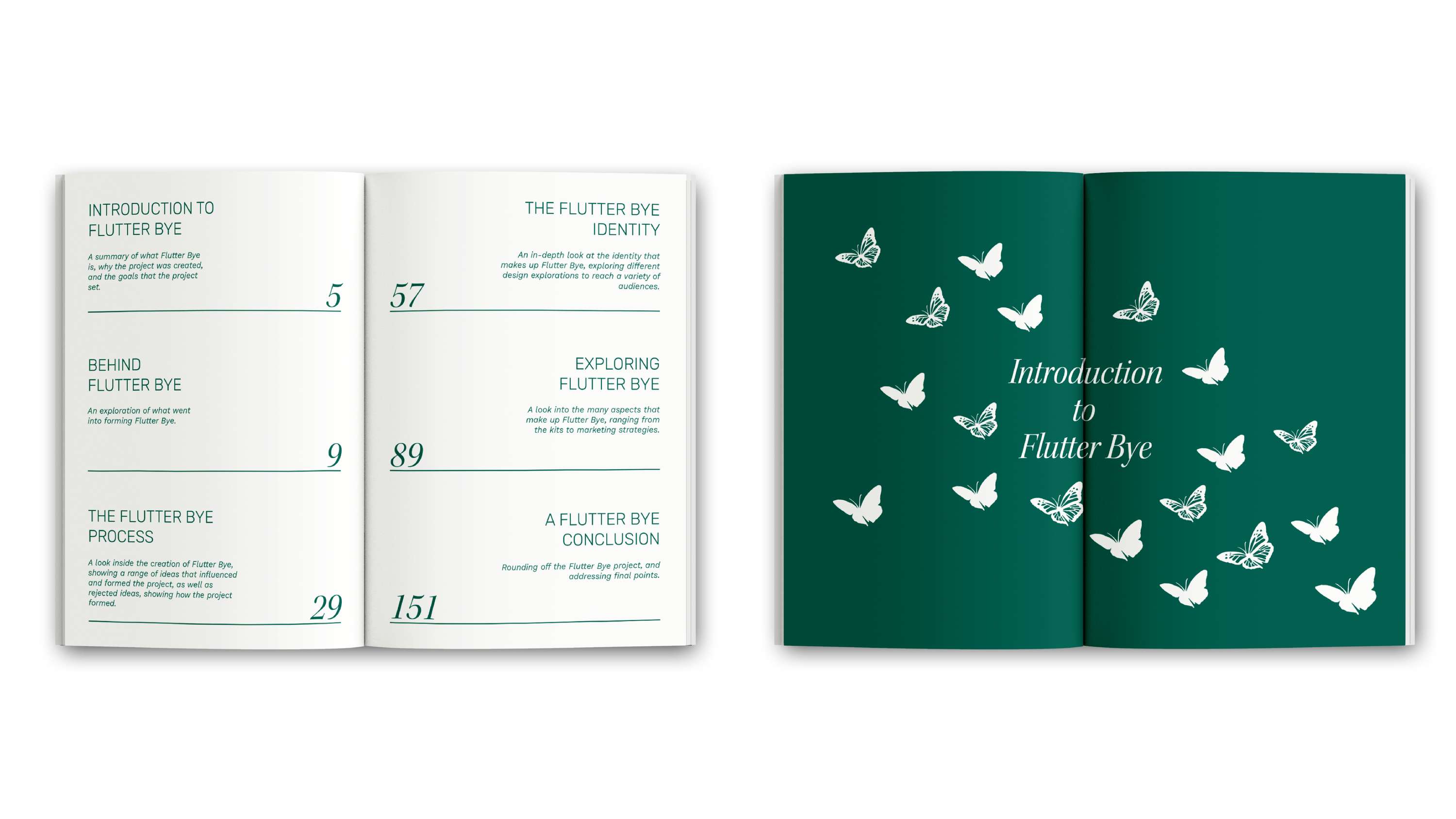 Flutter Bye by Rory Stewart