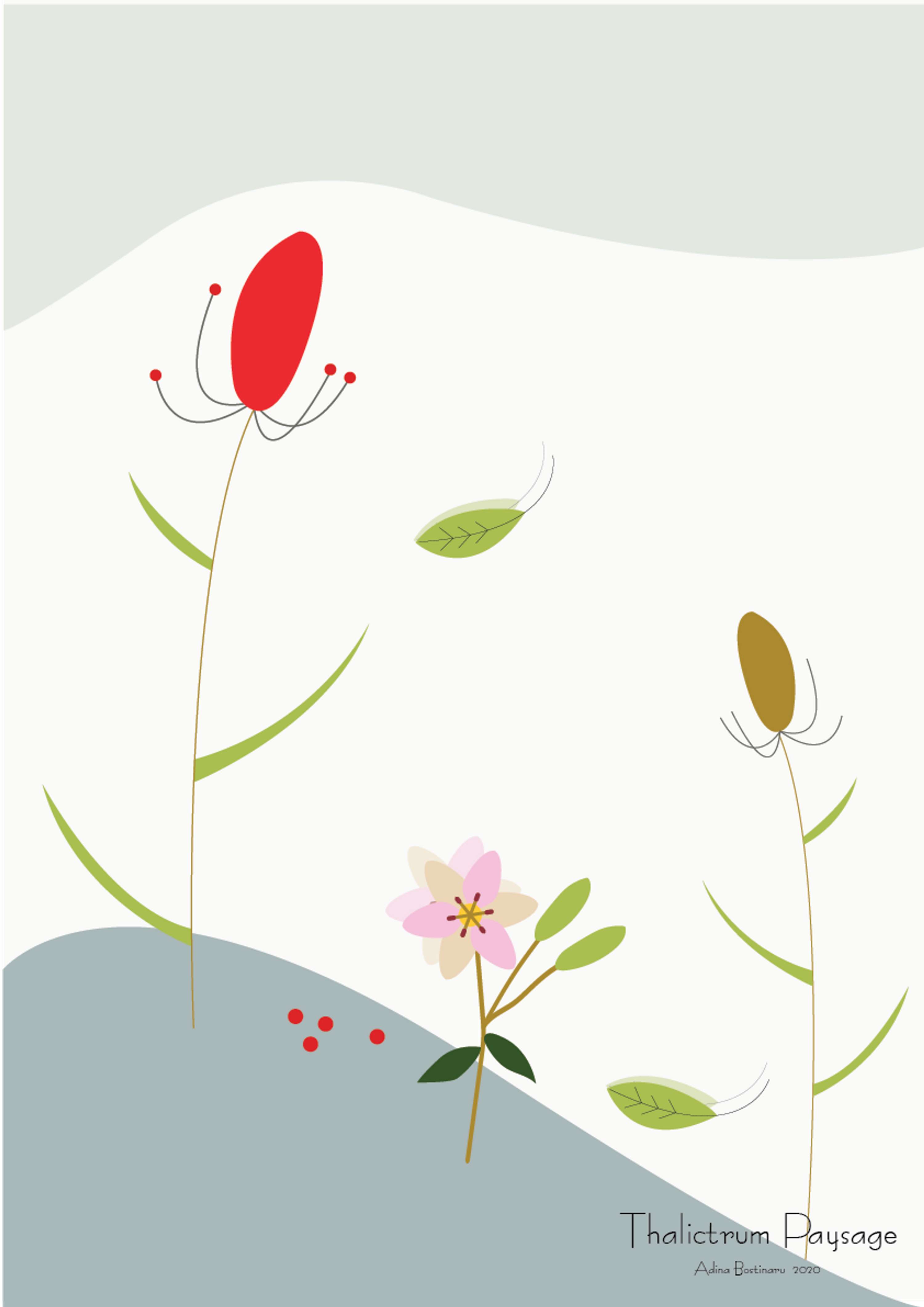EFFLORESCENCE Book by Adina Bostinaru