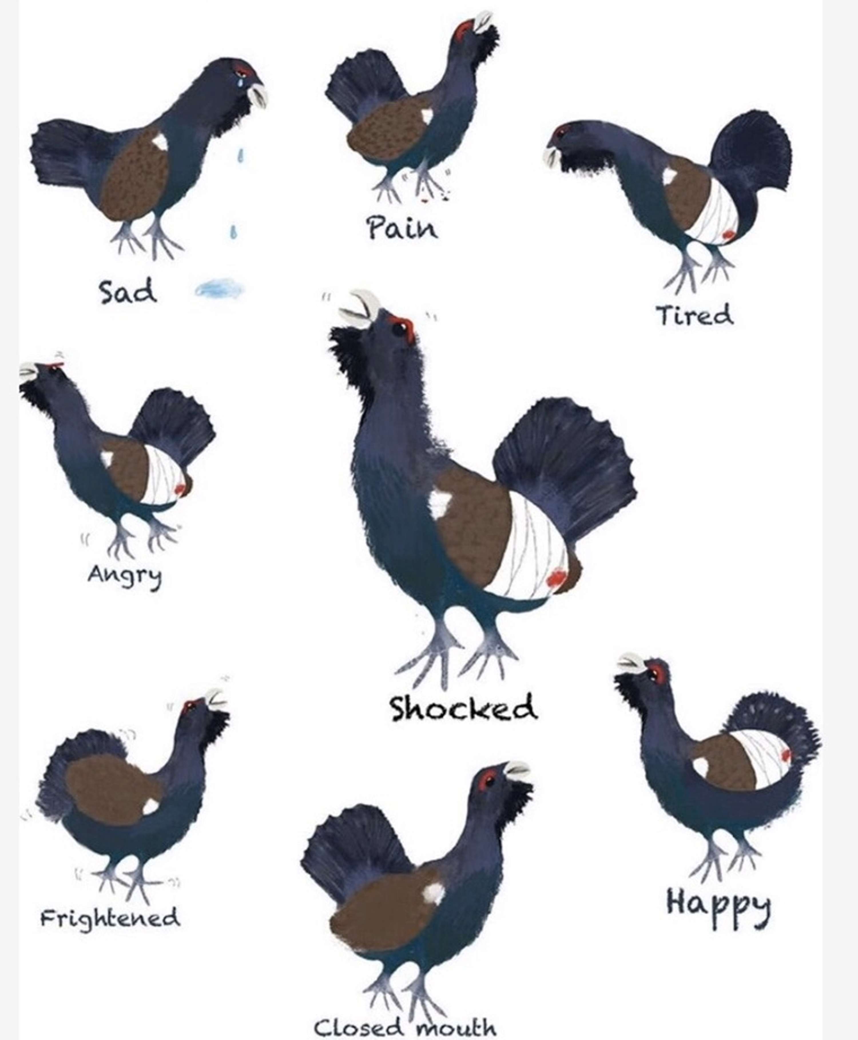 Character Design by Lou Lawrence