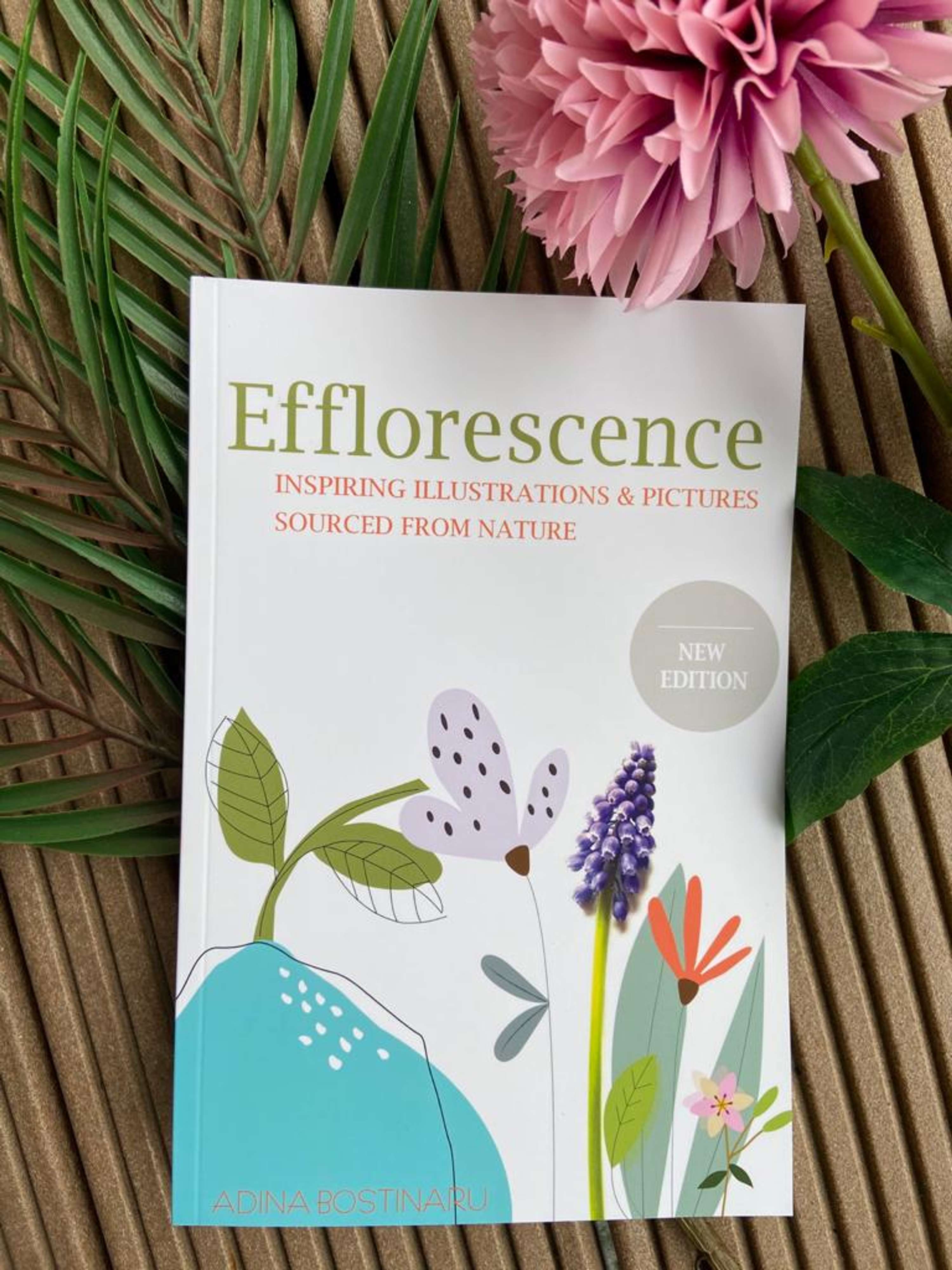 EFFLORESCENCE Book by Adina Bostinaru