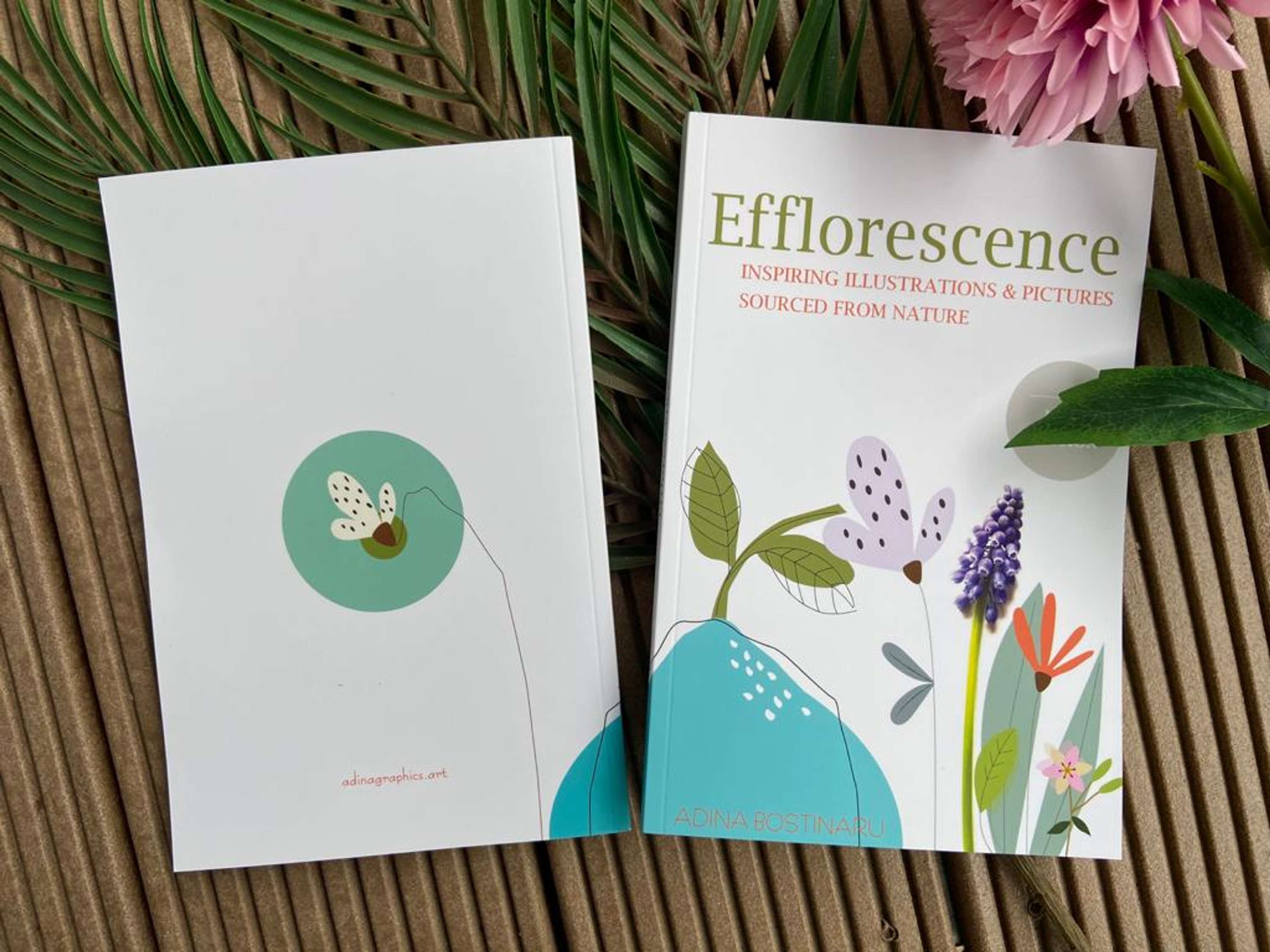 EFFLORESCENCE Book by Adina Bostinaru